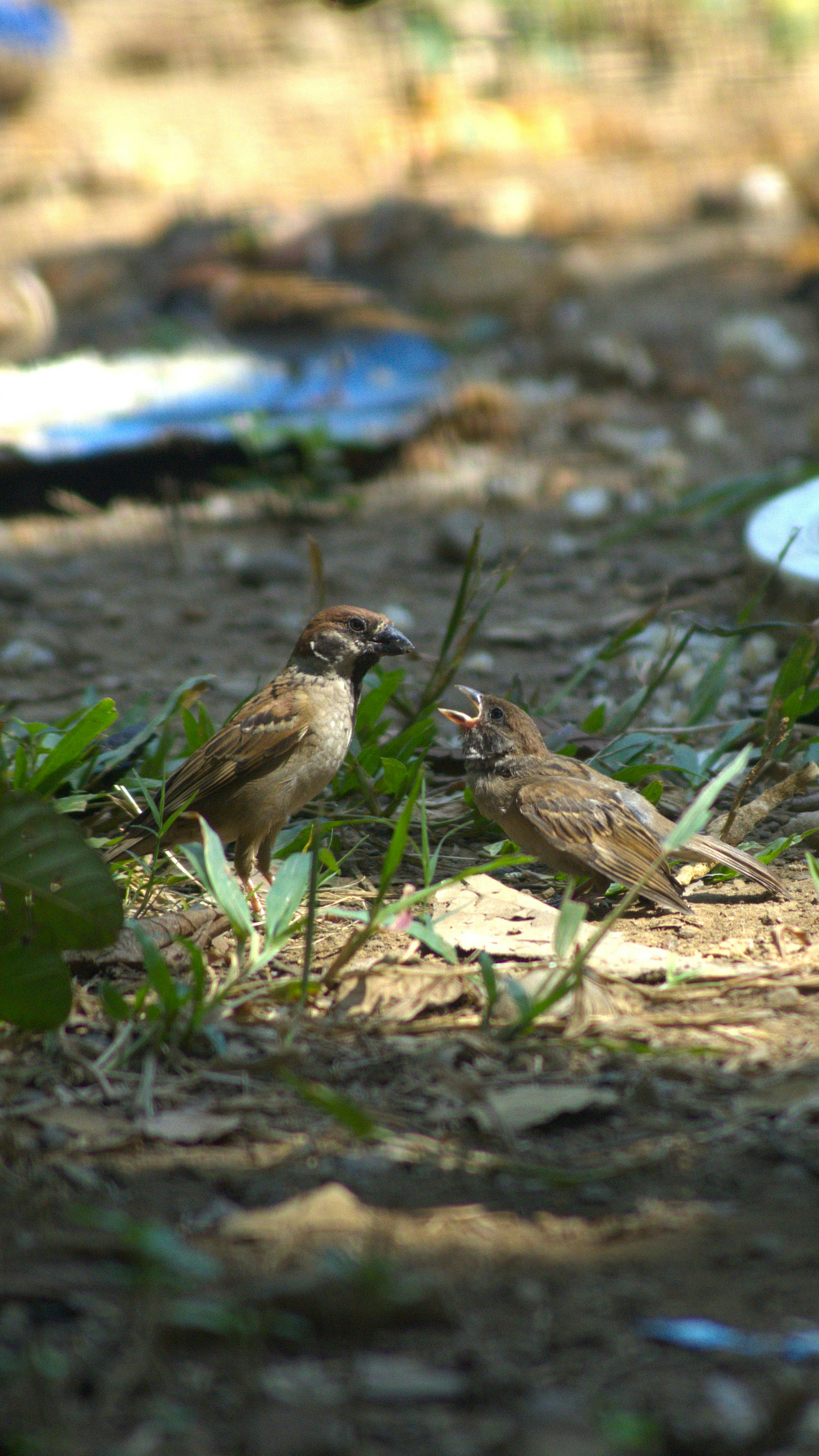 Photo by abrahamnoah