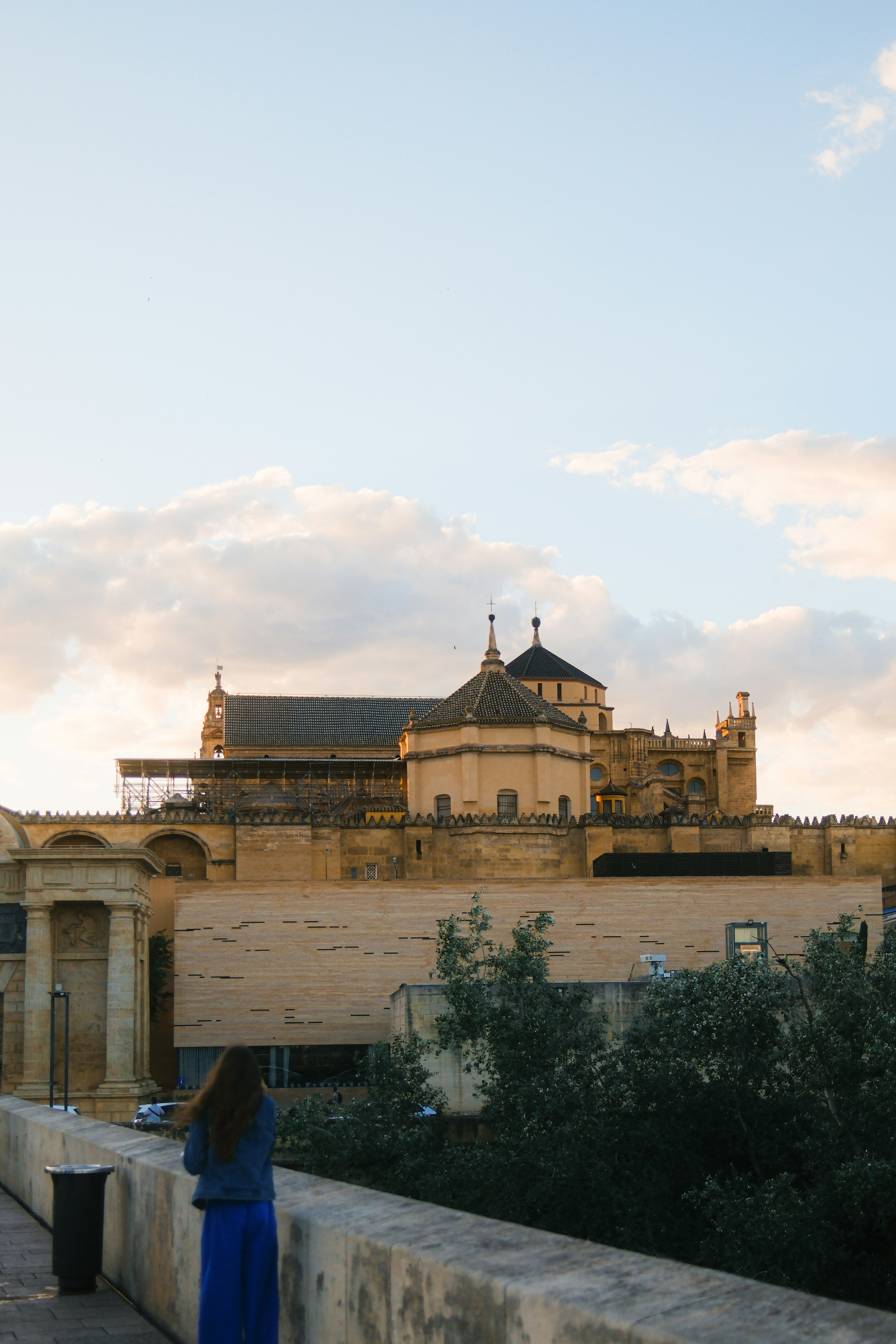 A woman in a blue dress standing on a bridge