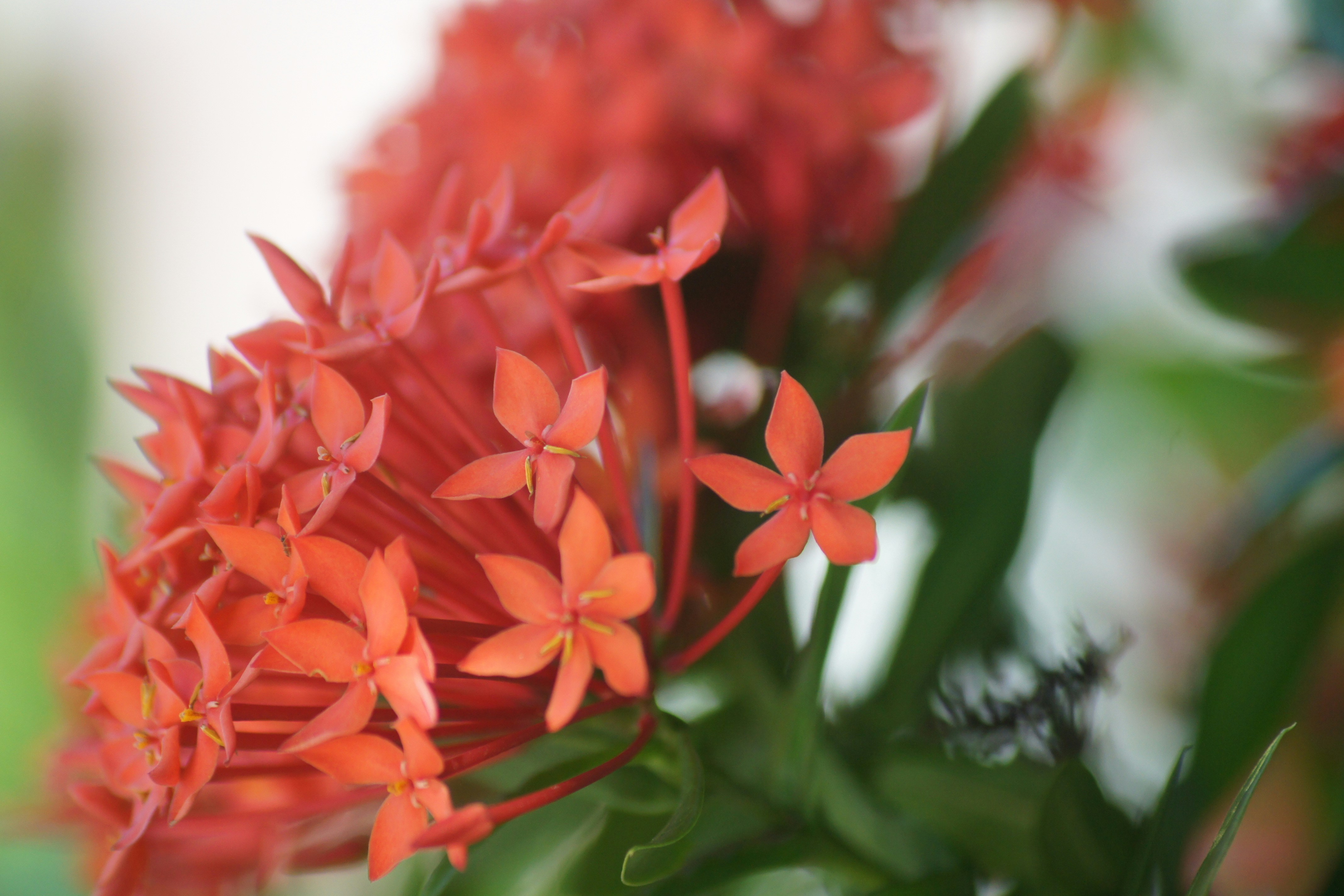 Photo by abrahamnoah