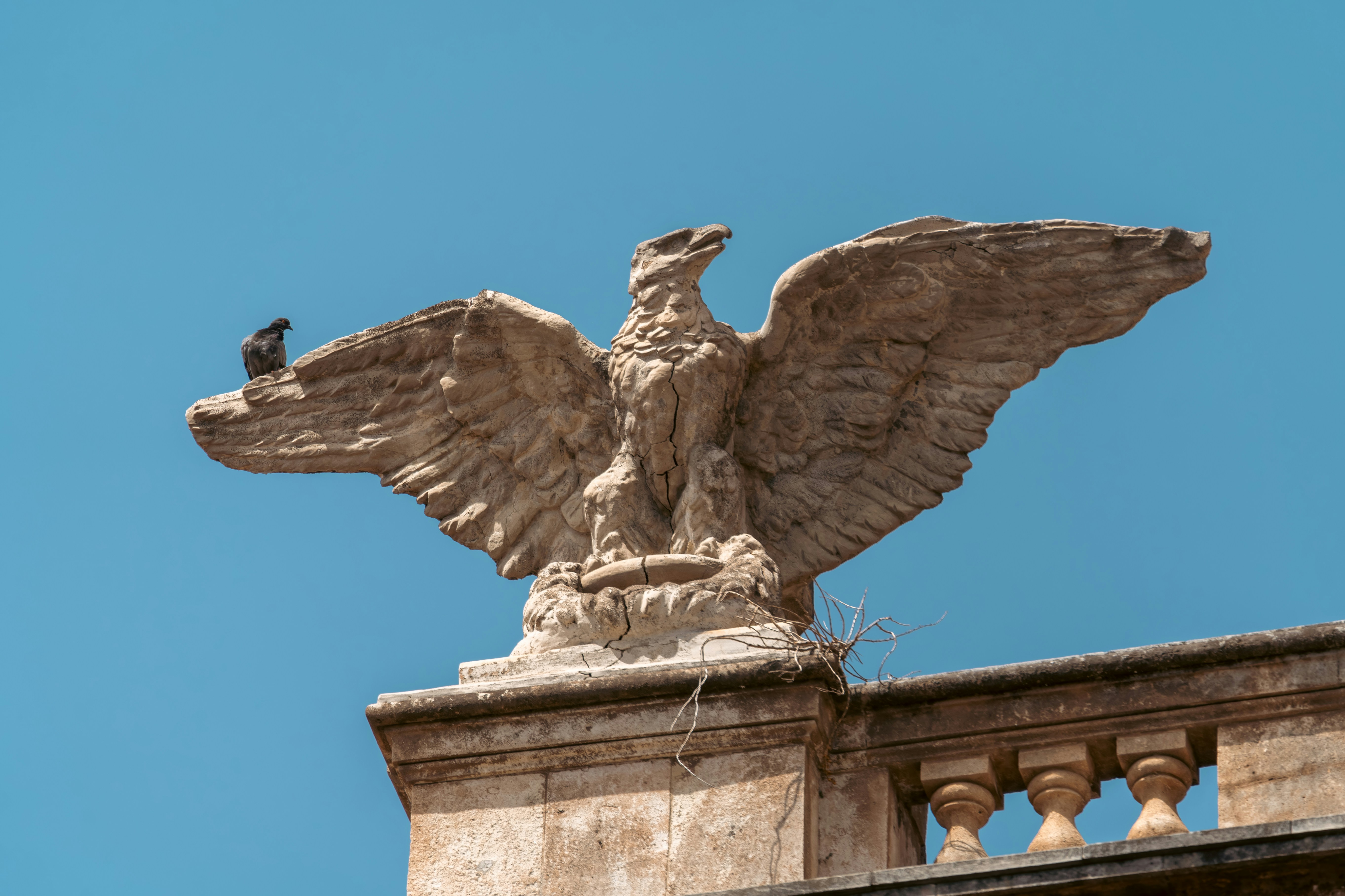 Photo by aronmarinelli