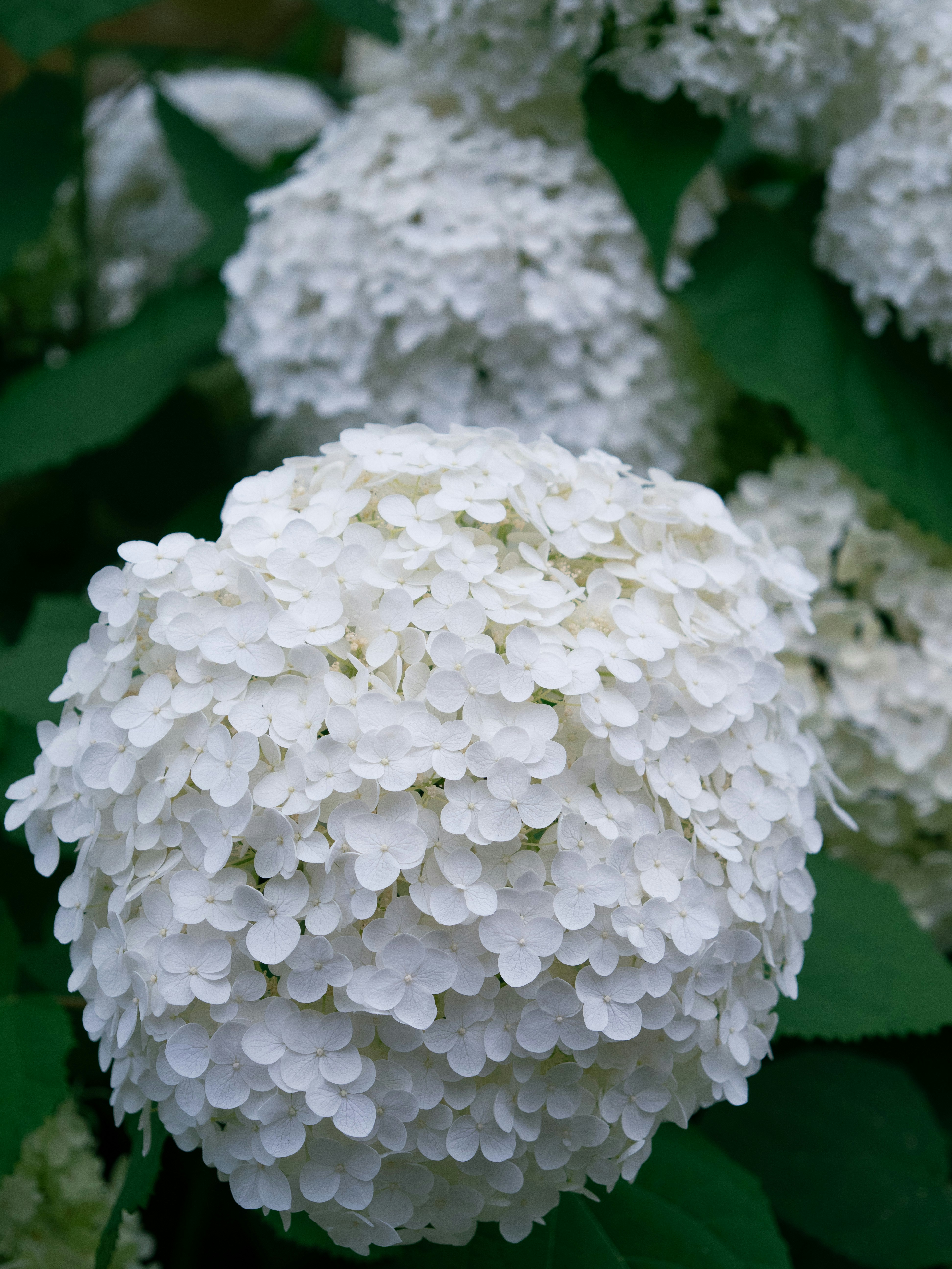 Photo by shellingfordyu