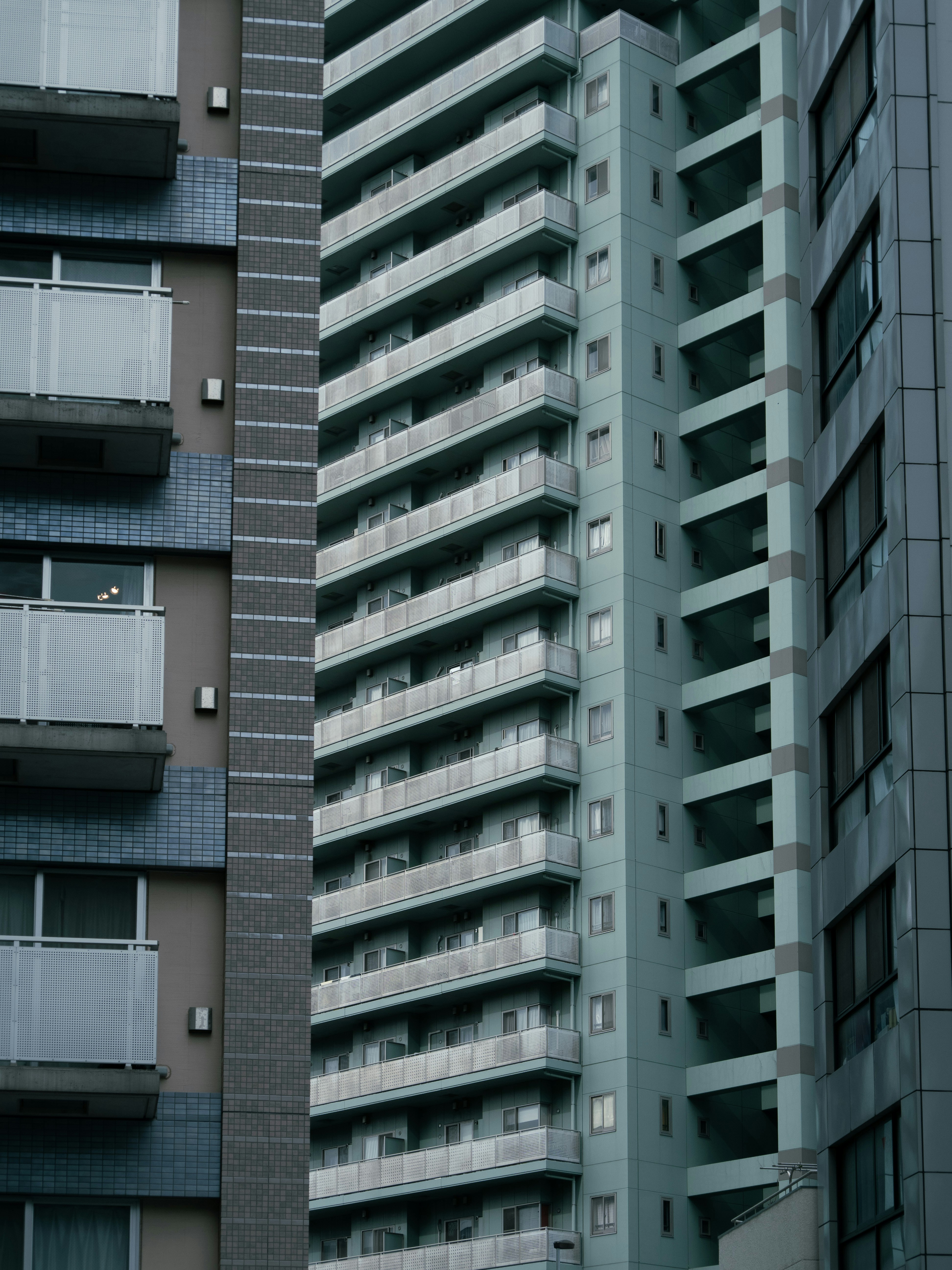 Photo by shellingfordyu