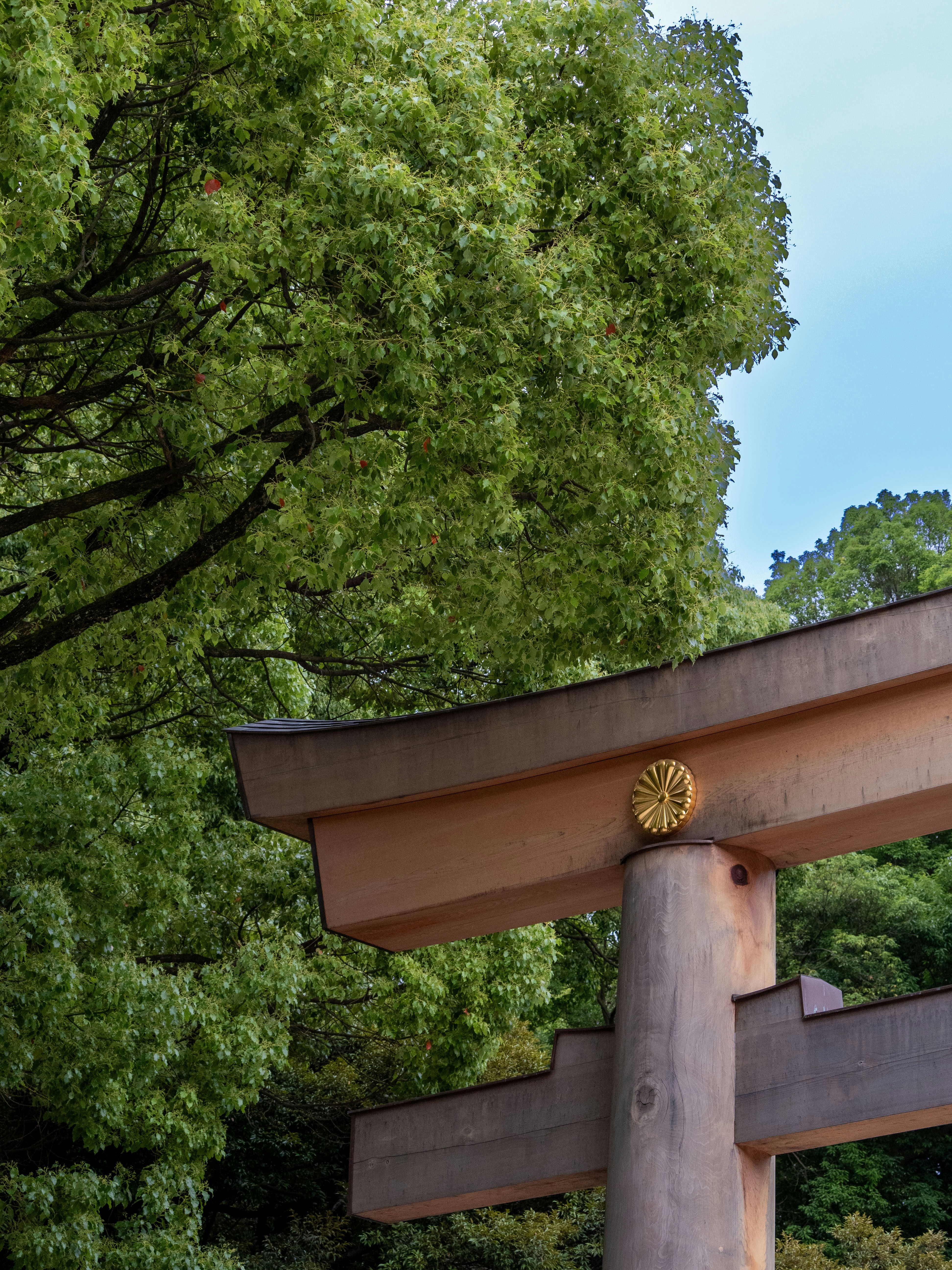 Photo by shellingfordyu