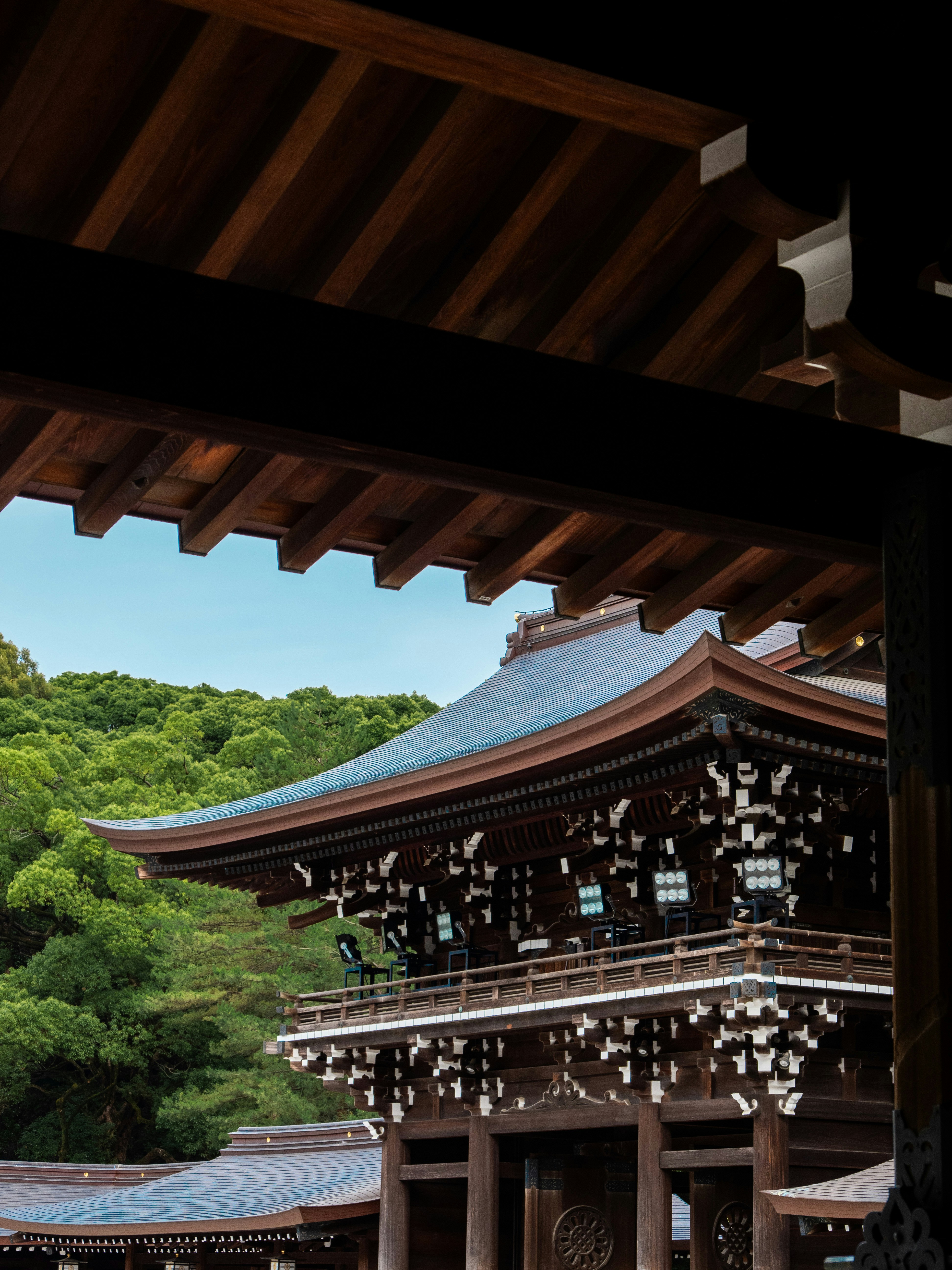 Photo by shellingfordyu