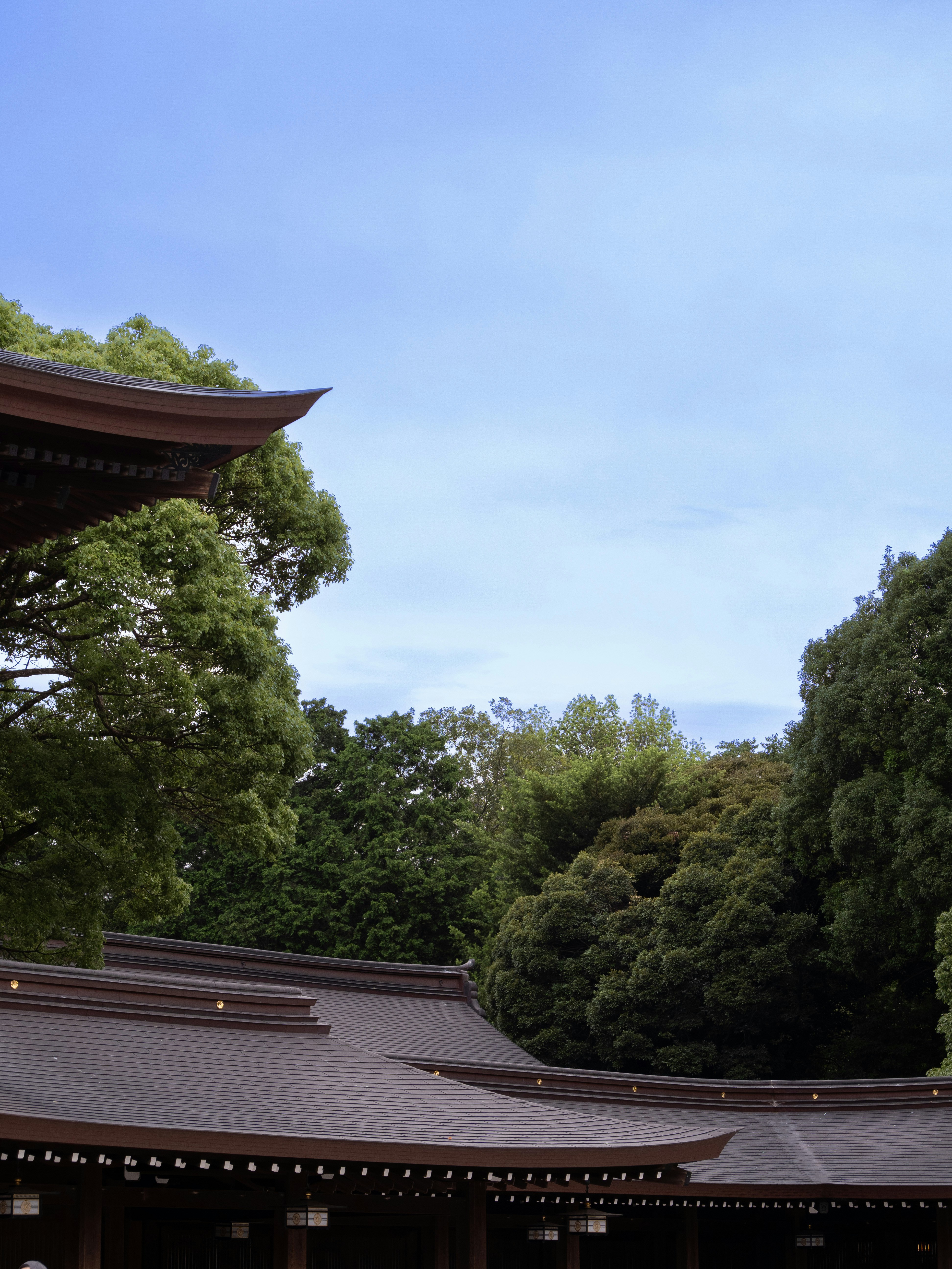 Photo by shellingfordyu