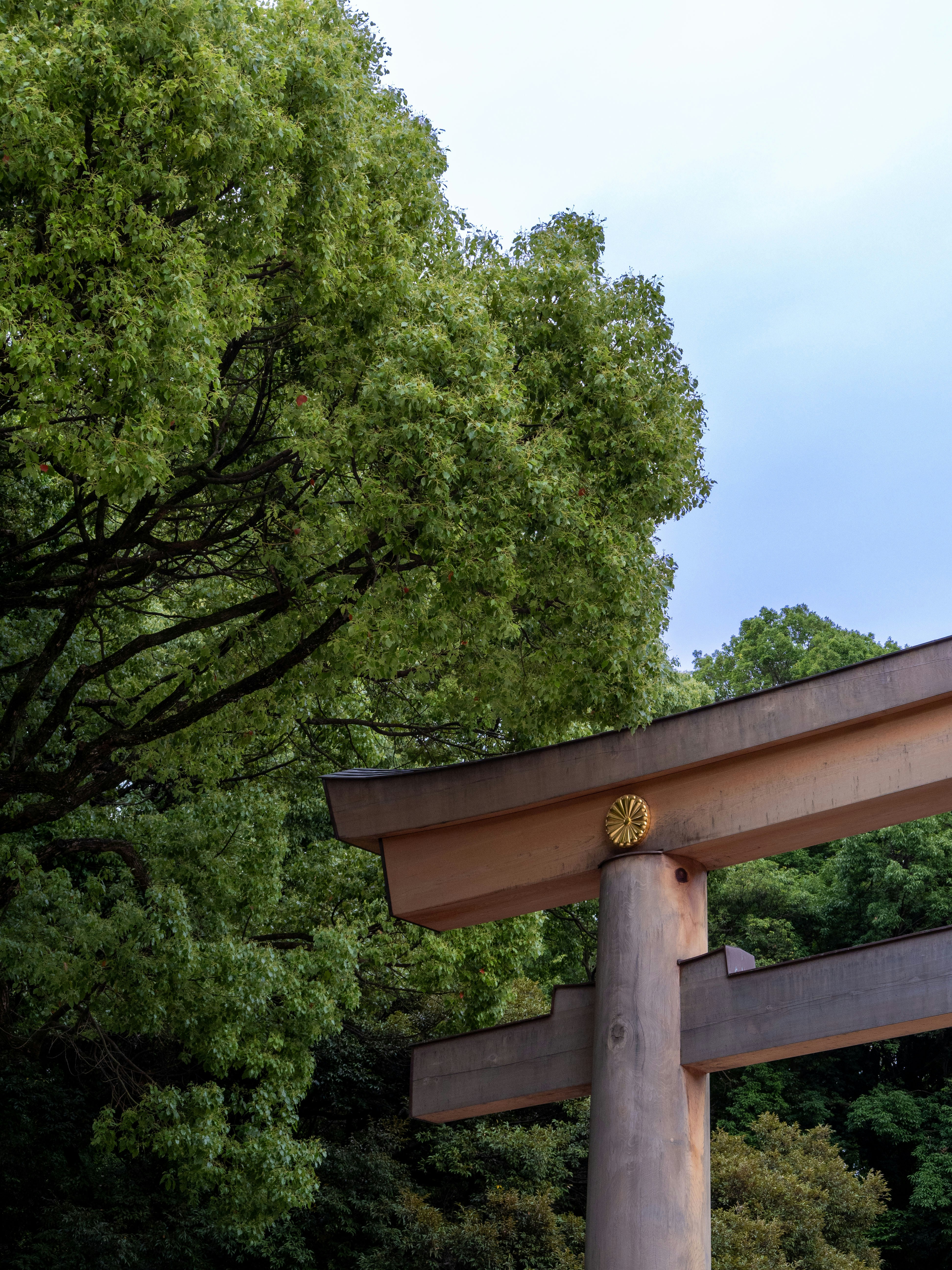 Photo by shellingfordyu