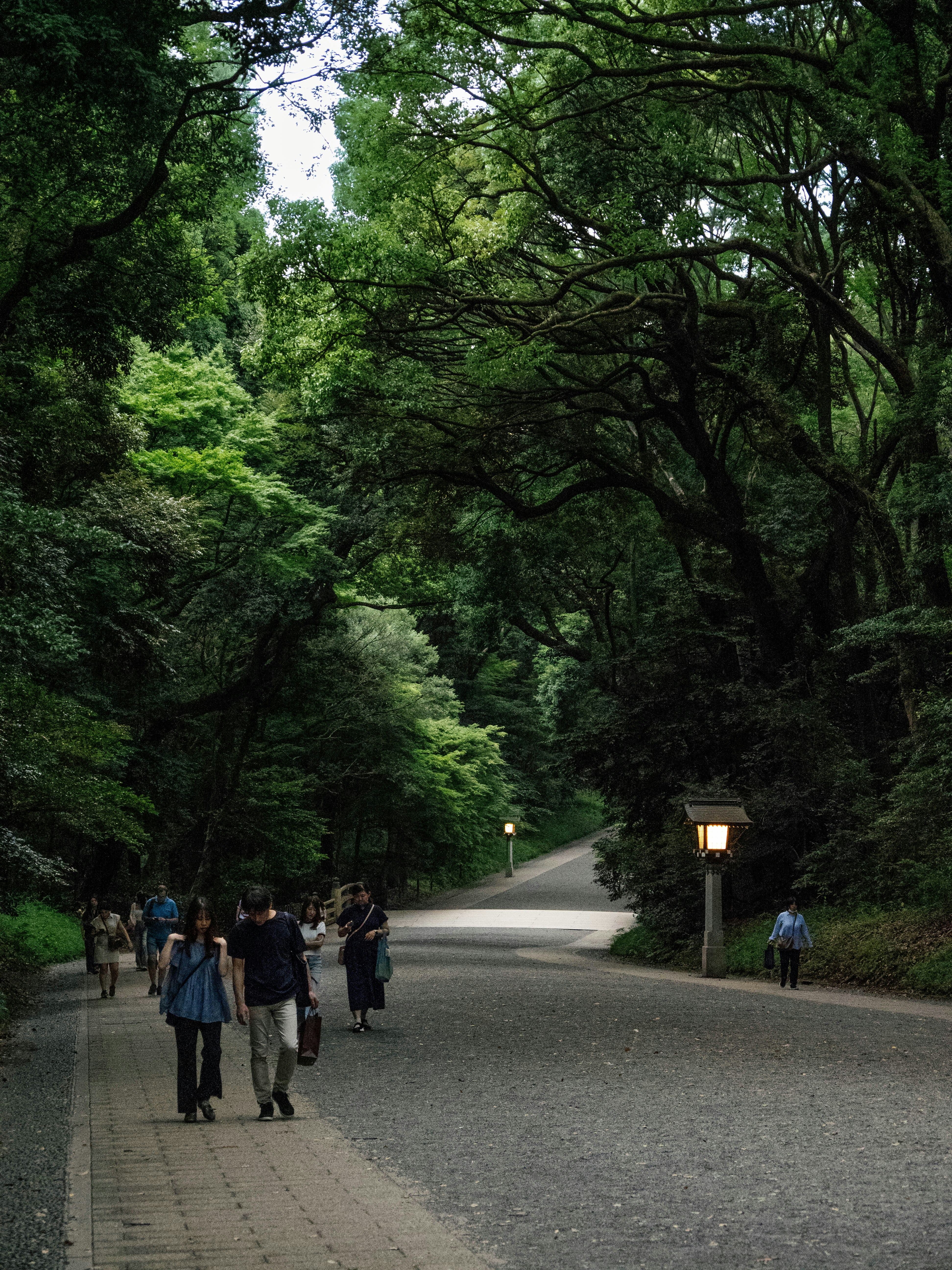 Photo by shellingfordyu