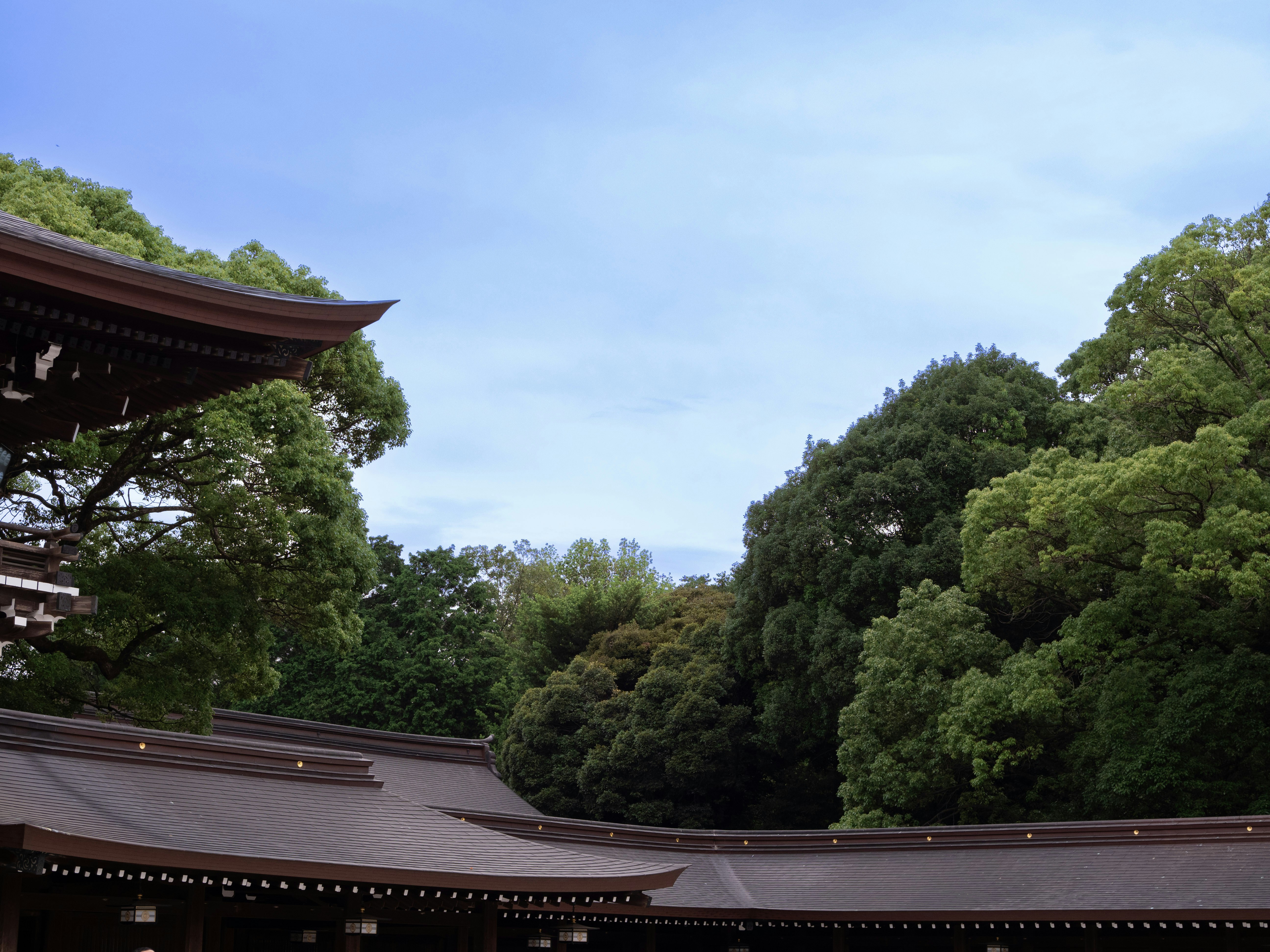 Photo by shellingfordyu