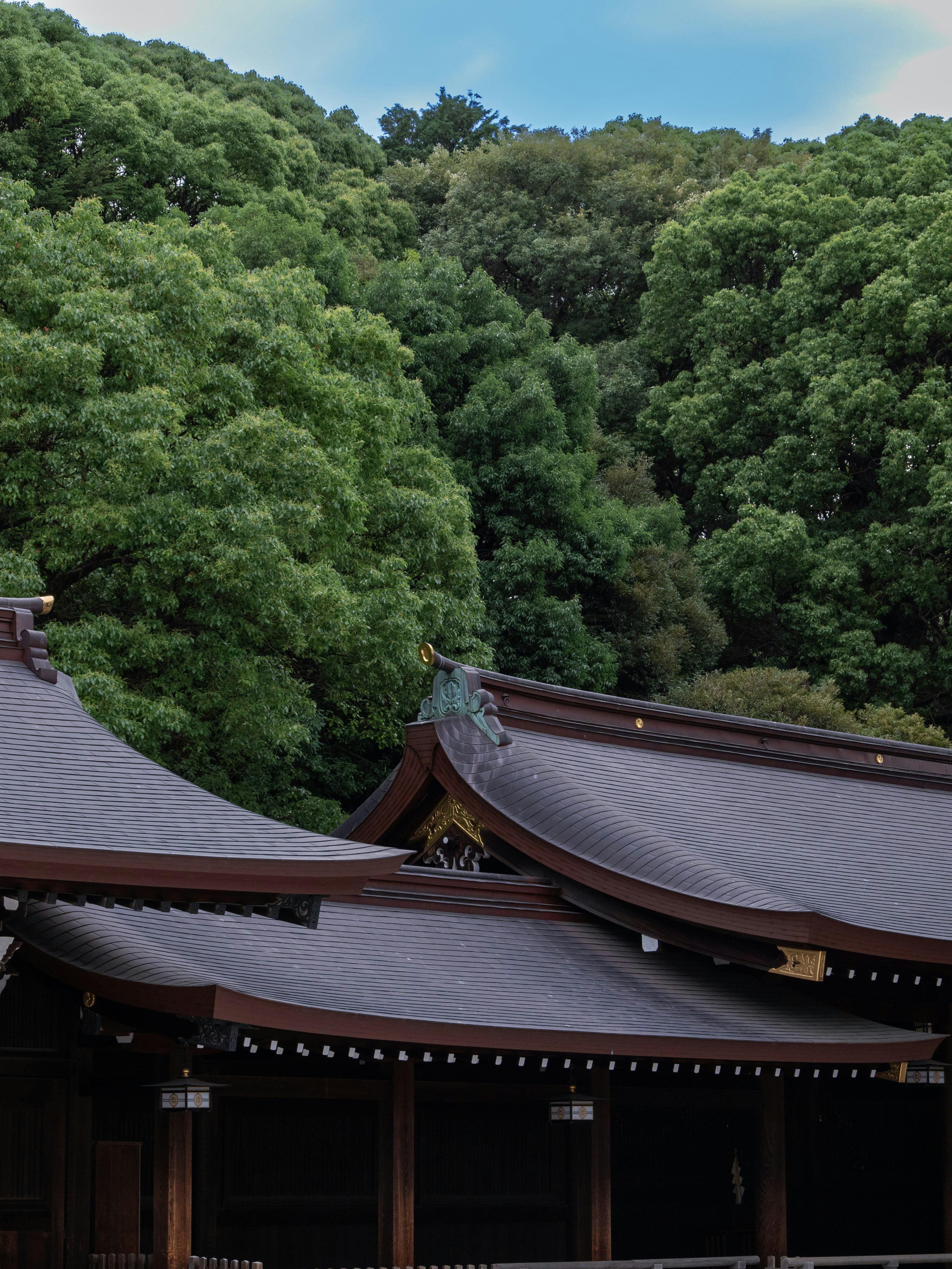 Photo by shellingfordyu