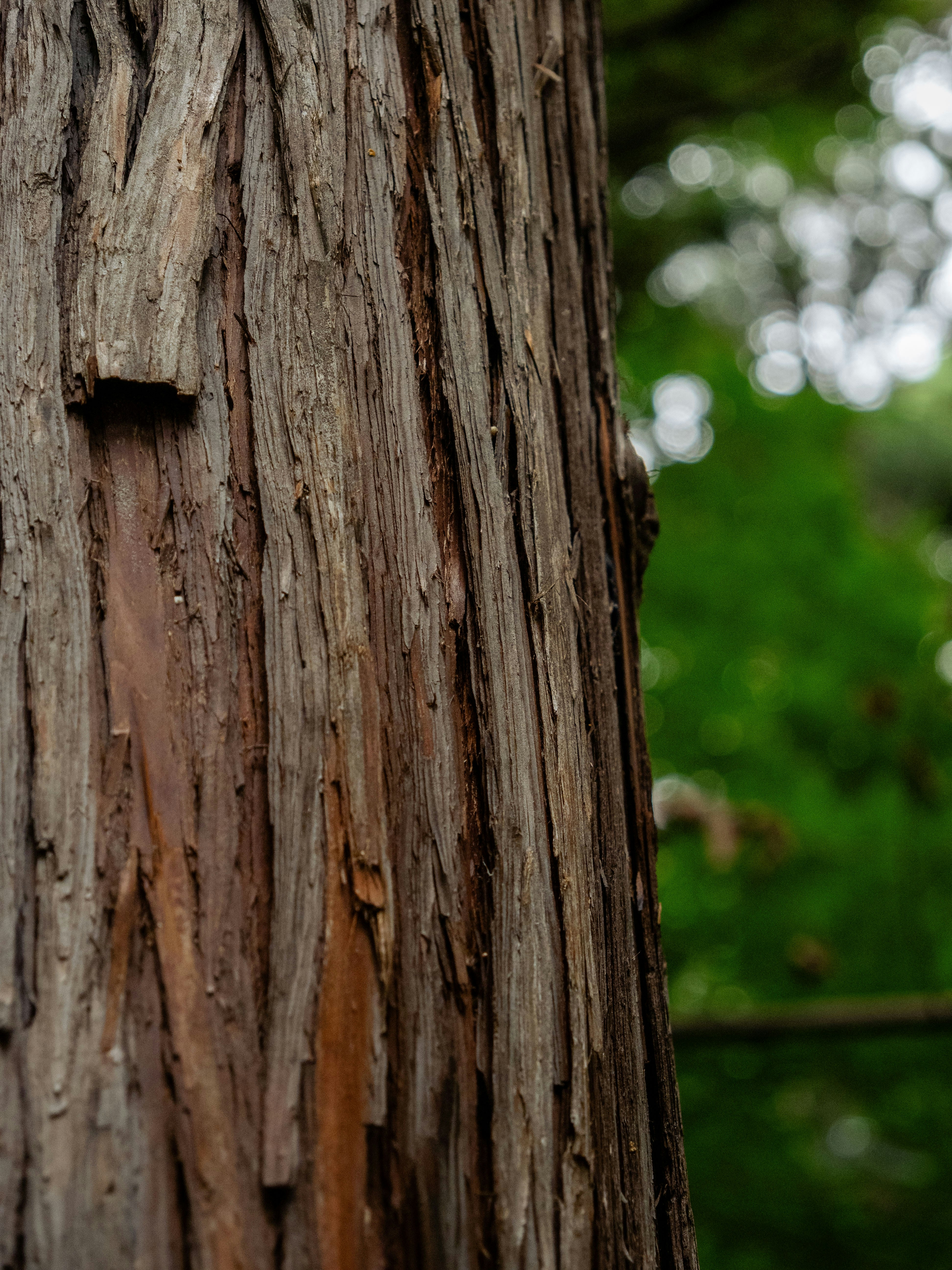 Photo by shellingfordyu