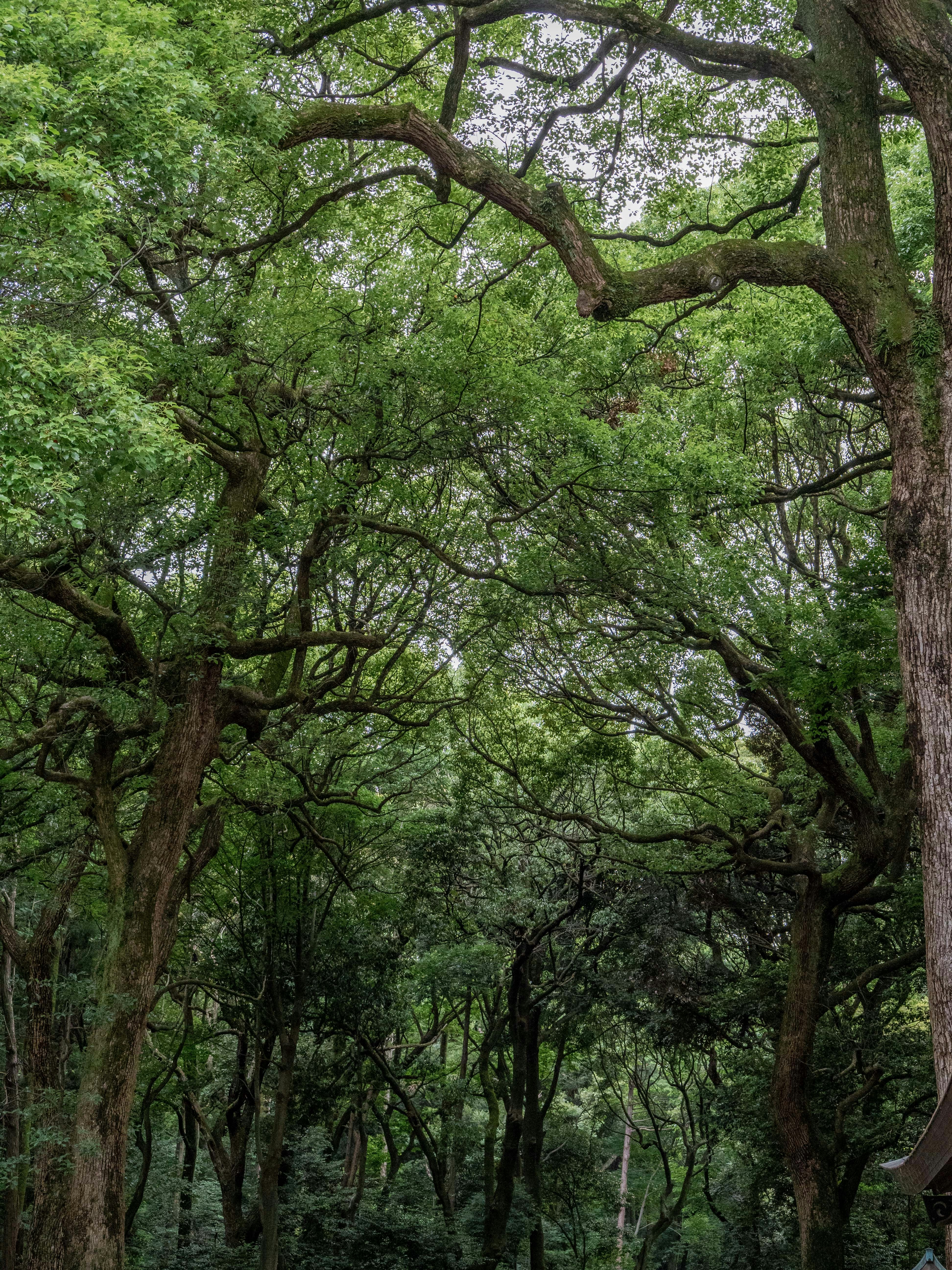 Photo by shellingfordyu