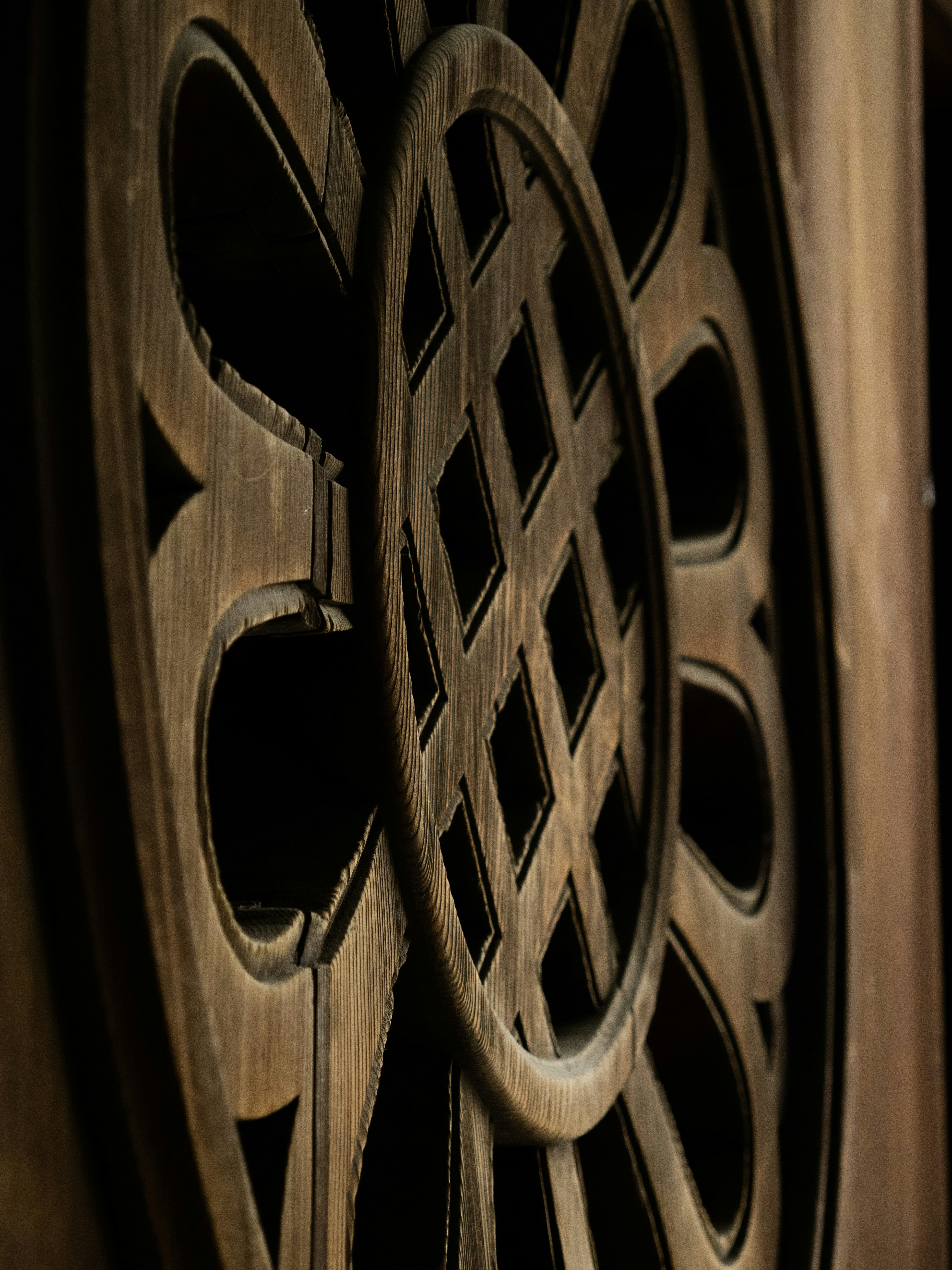 Photo by shellingfordyu