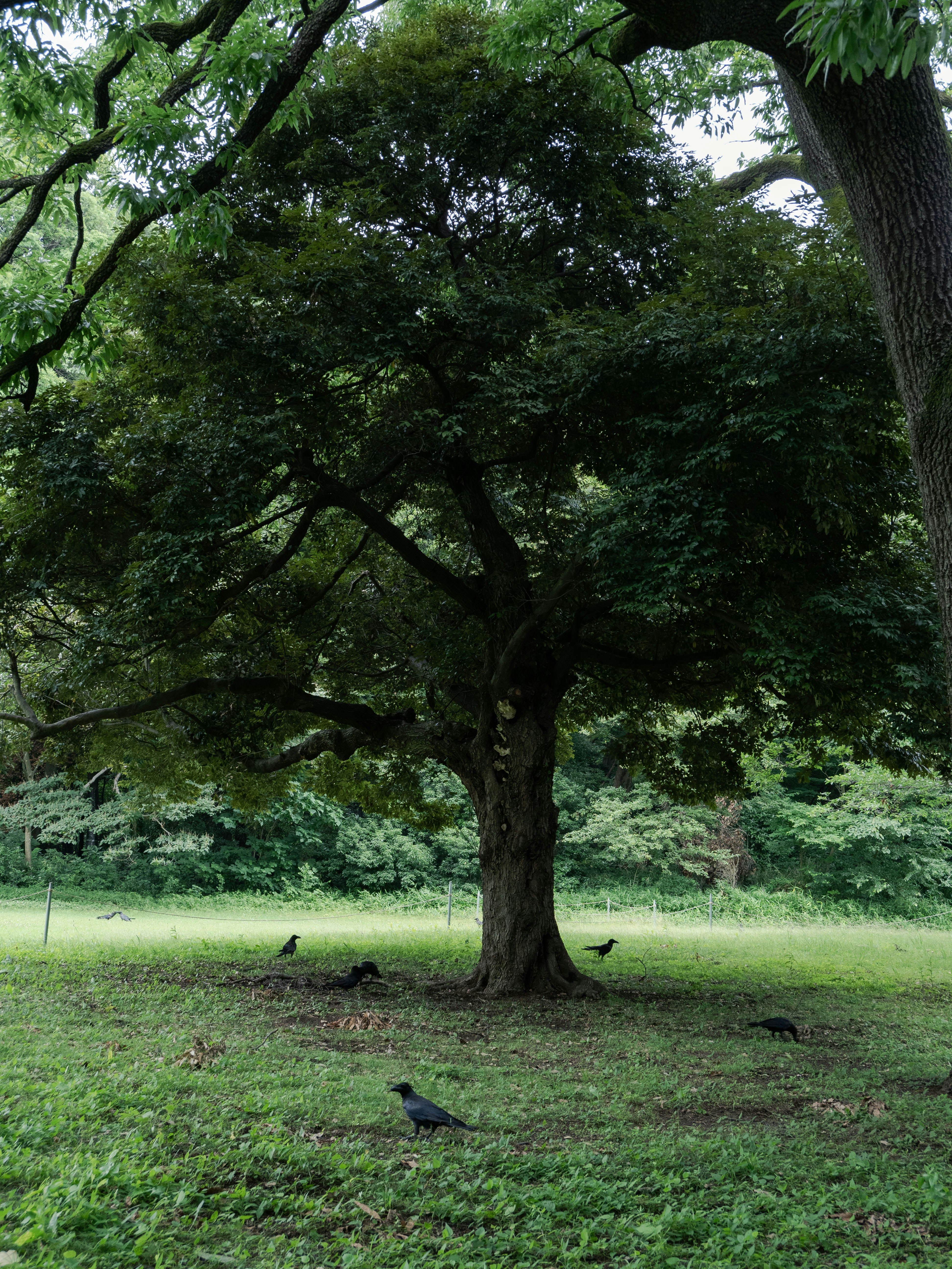 Photo by shellingfordyu