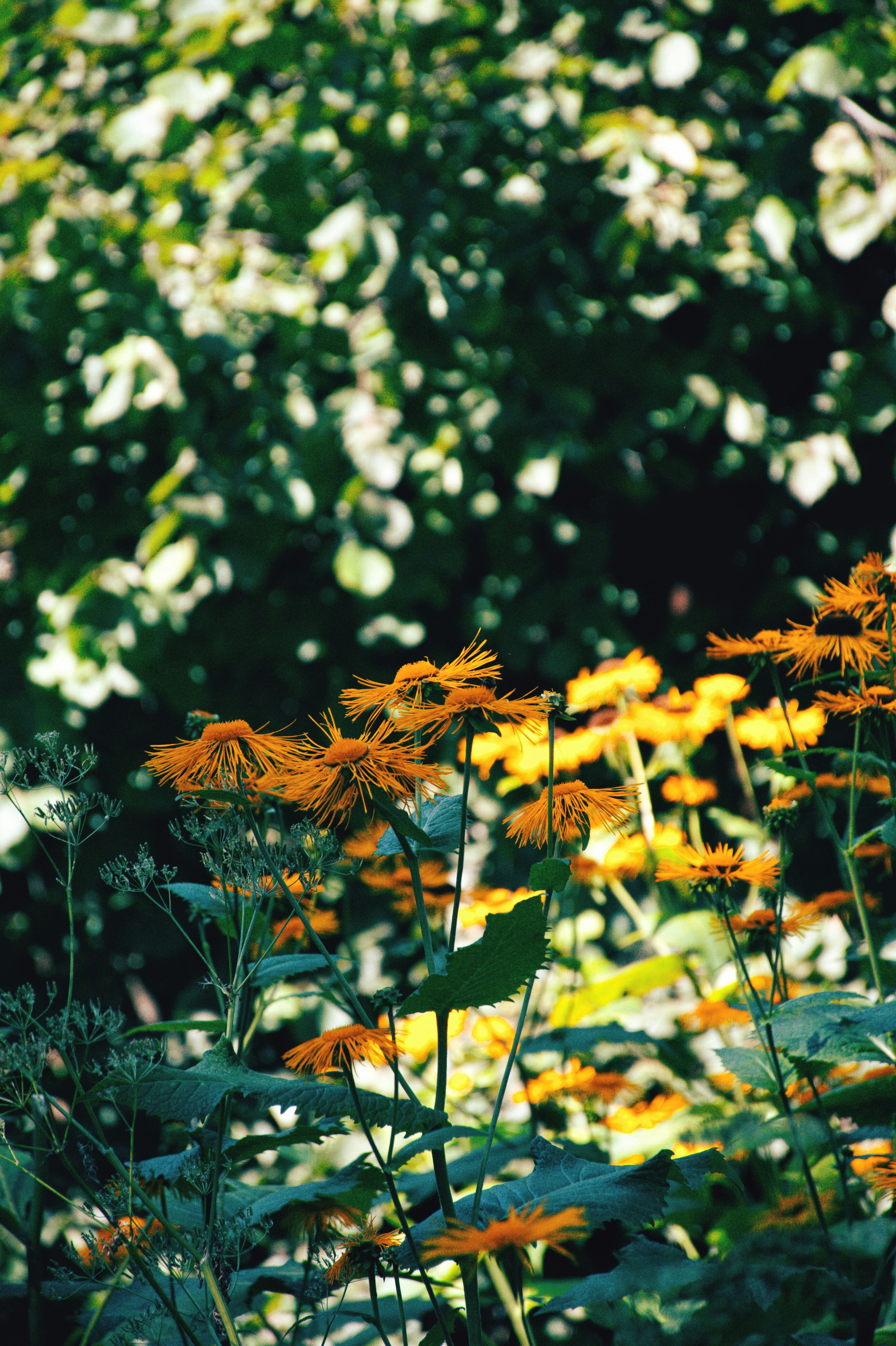 Photo by olga_trishi