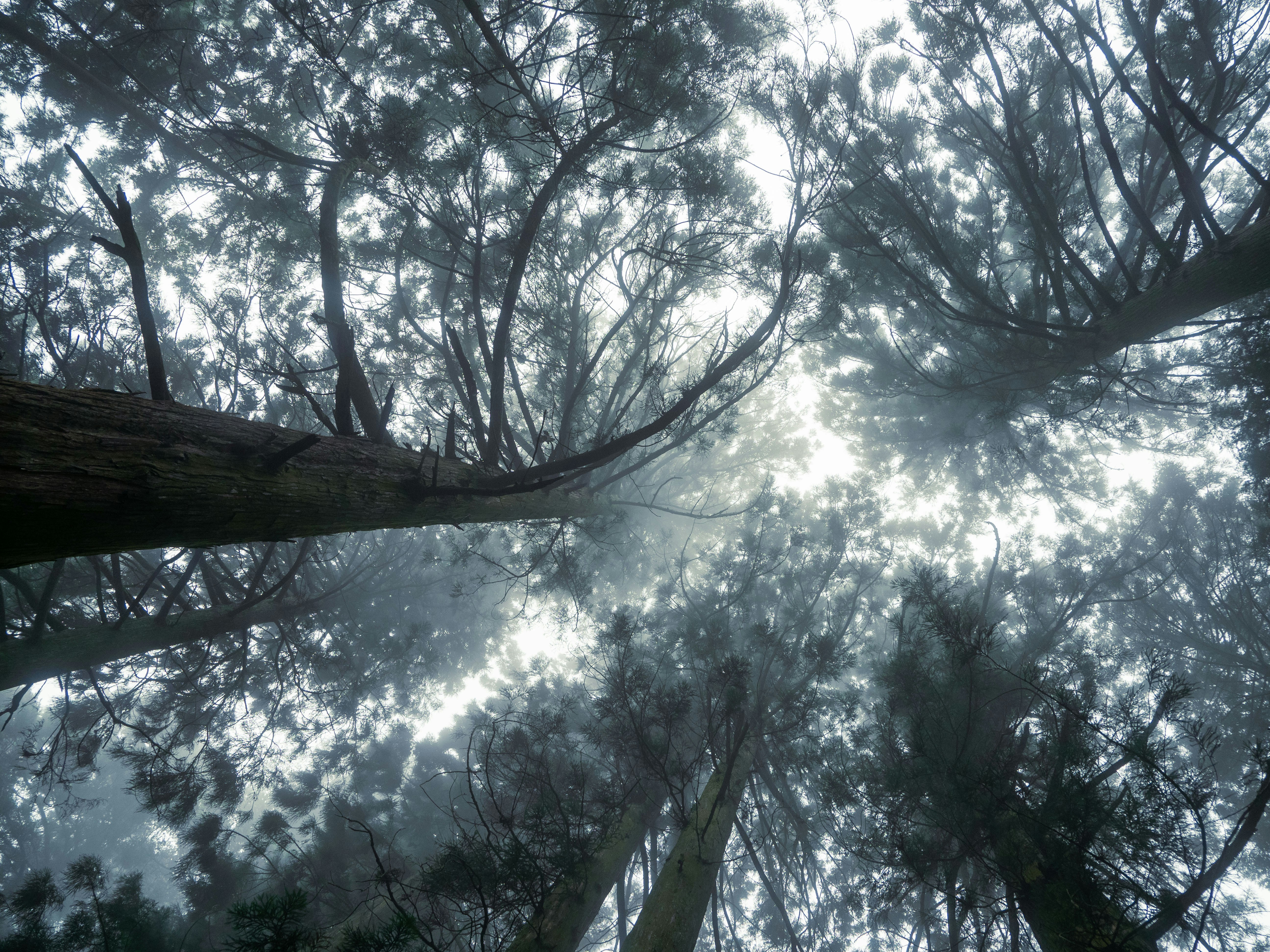 Photo by shellingfordyu