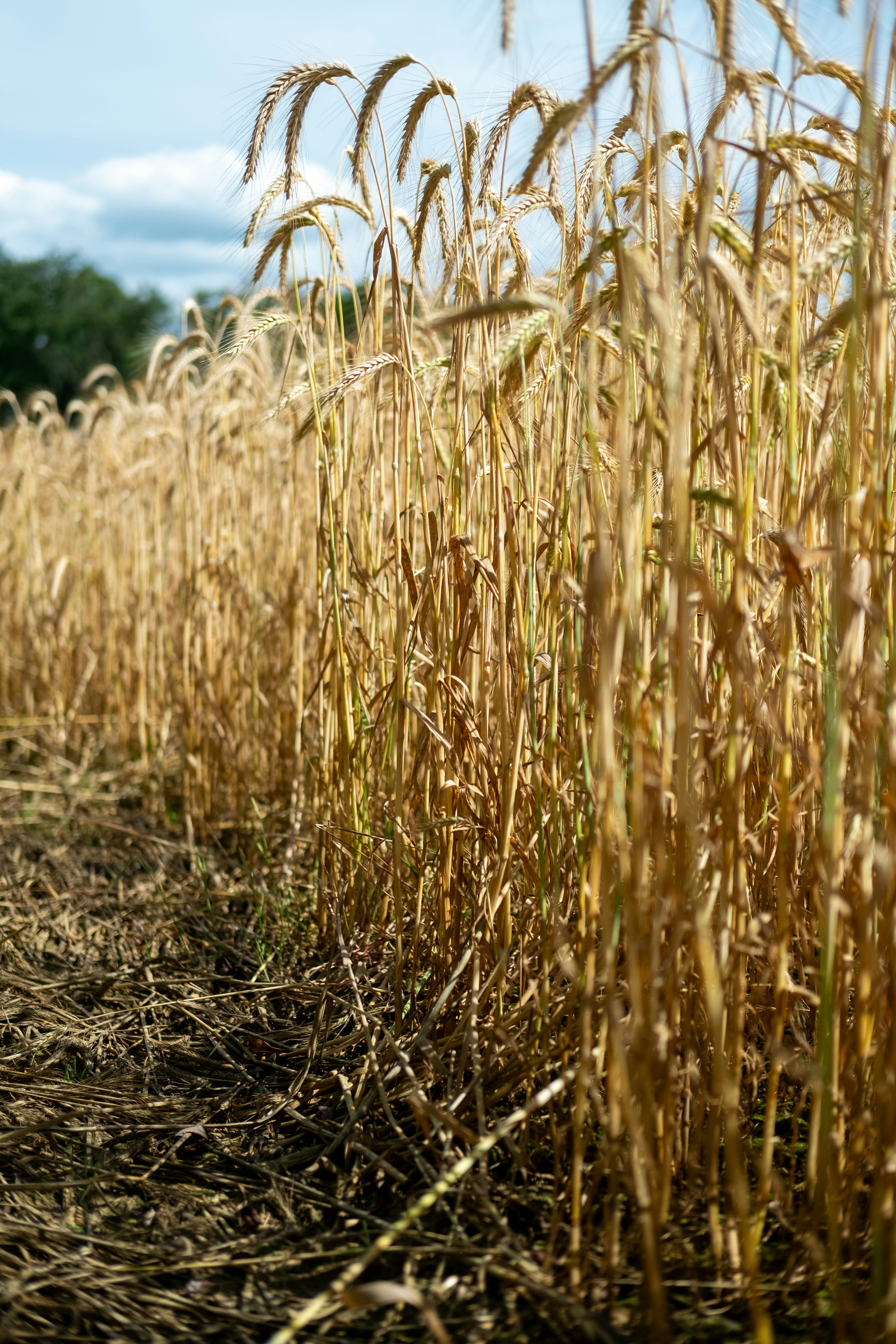 Photo by bernhardbar