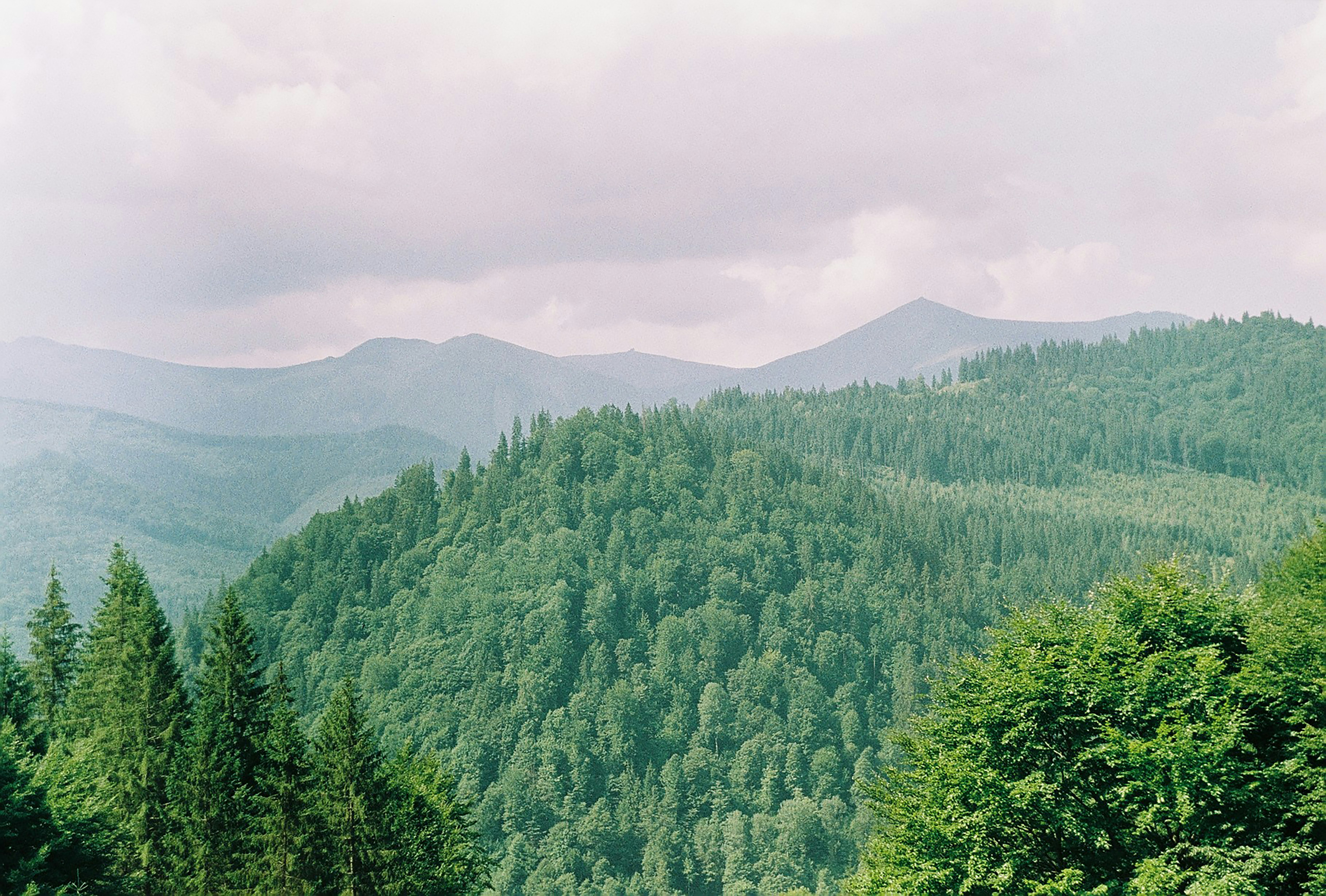 Photo by veronikaaharova