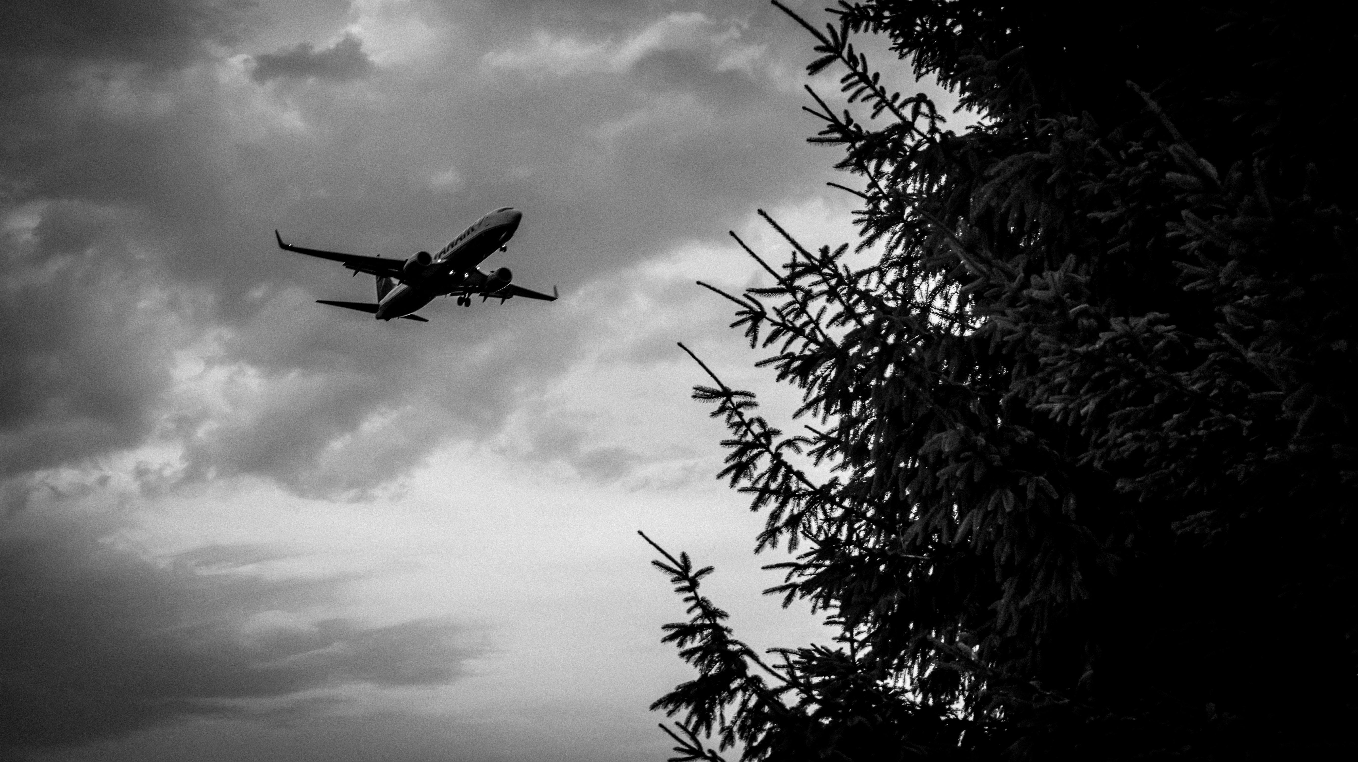 A black and white photo of an airplane in the sky photo – Free Grey ...