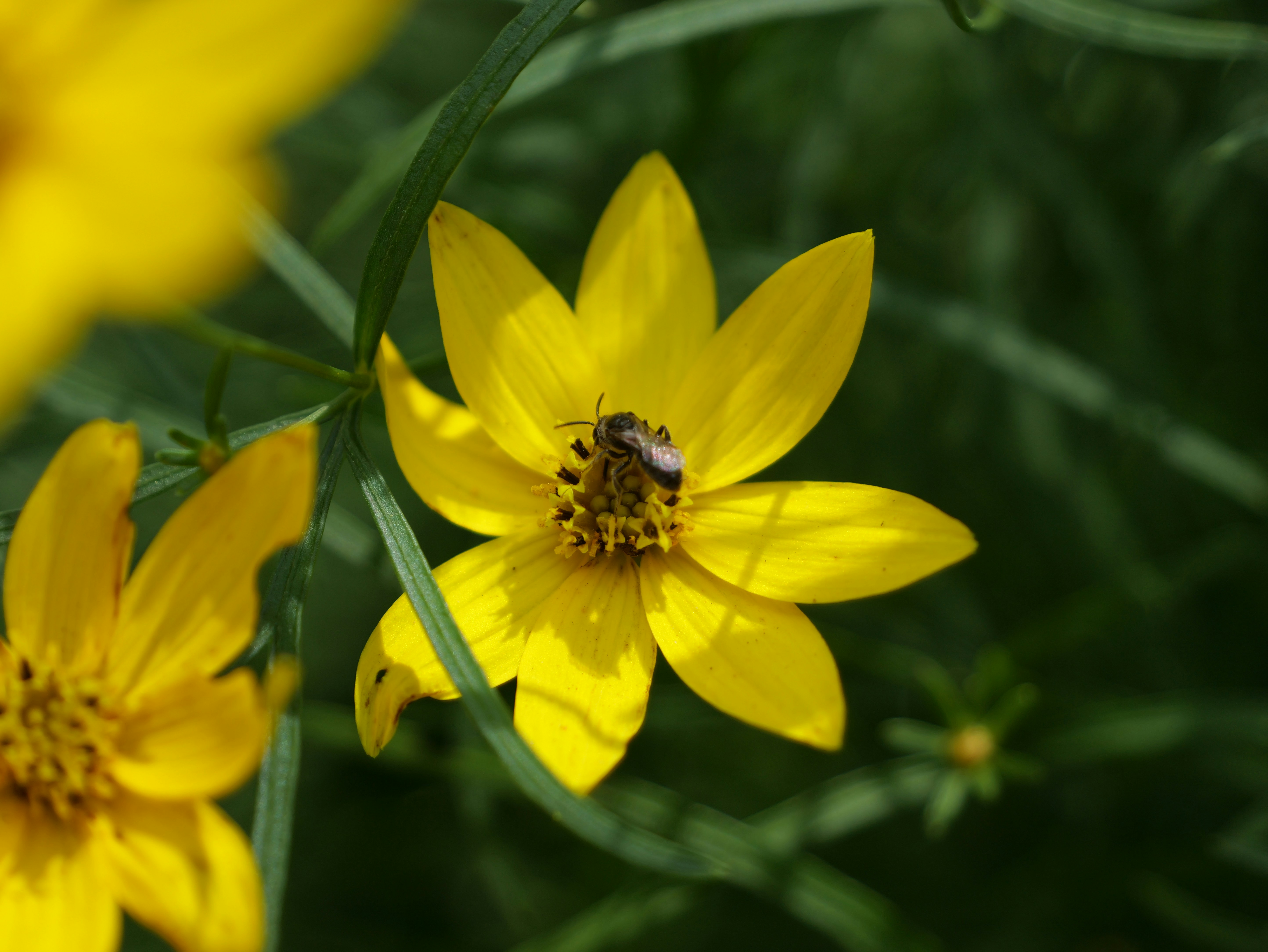 Photo by karonthompson