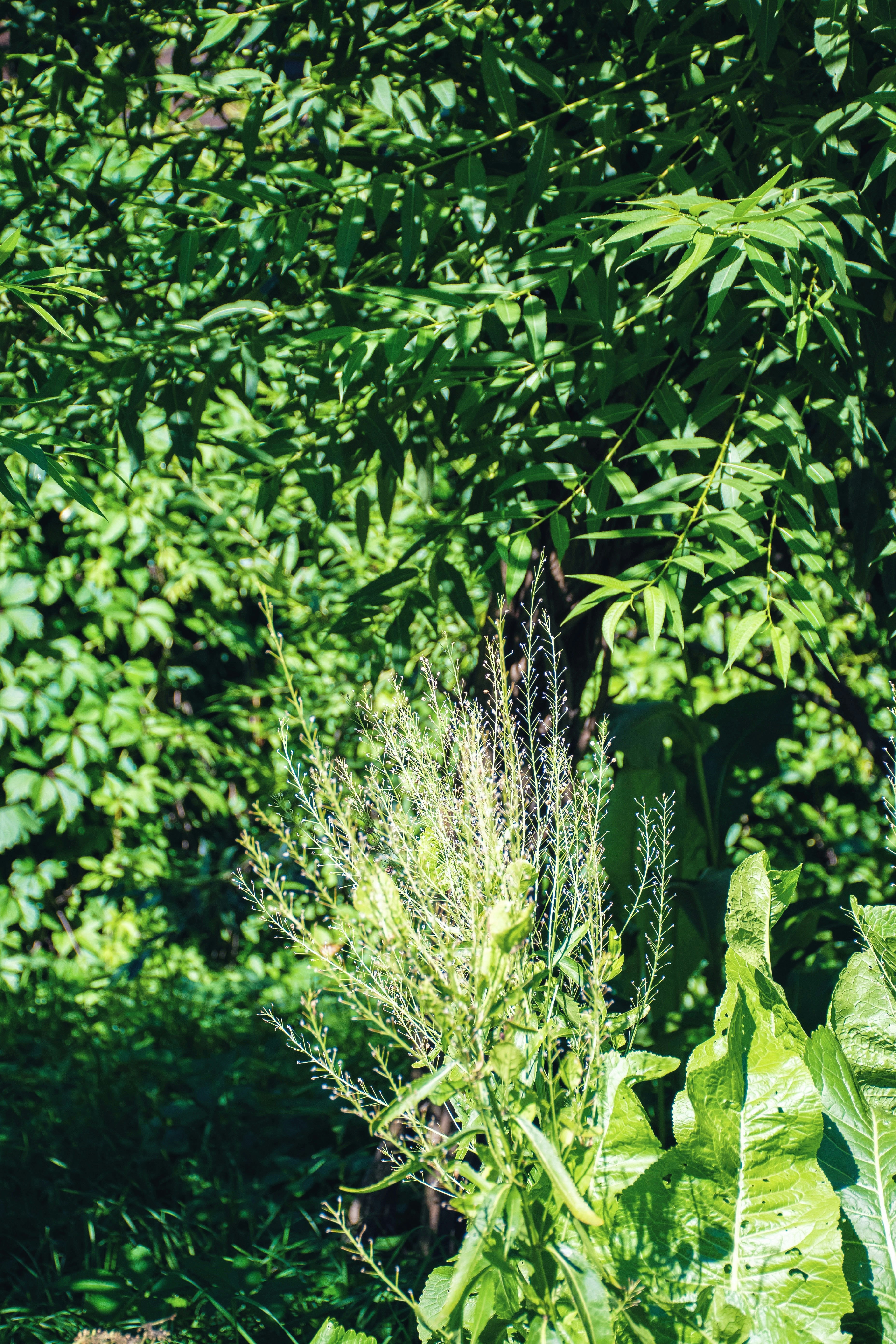 Photo by olga_trishi