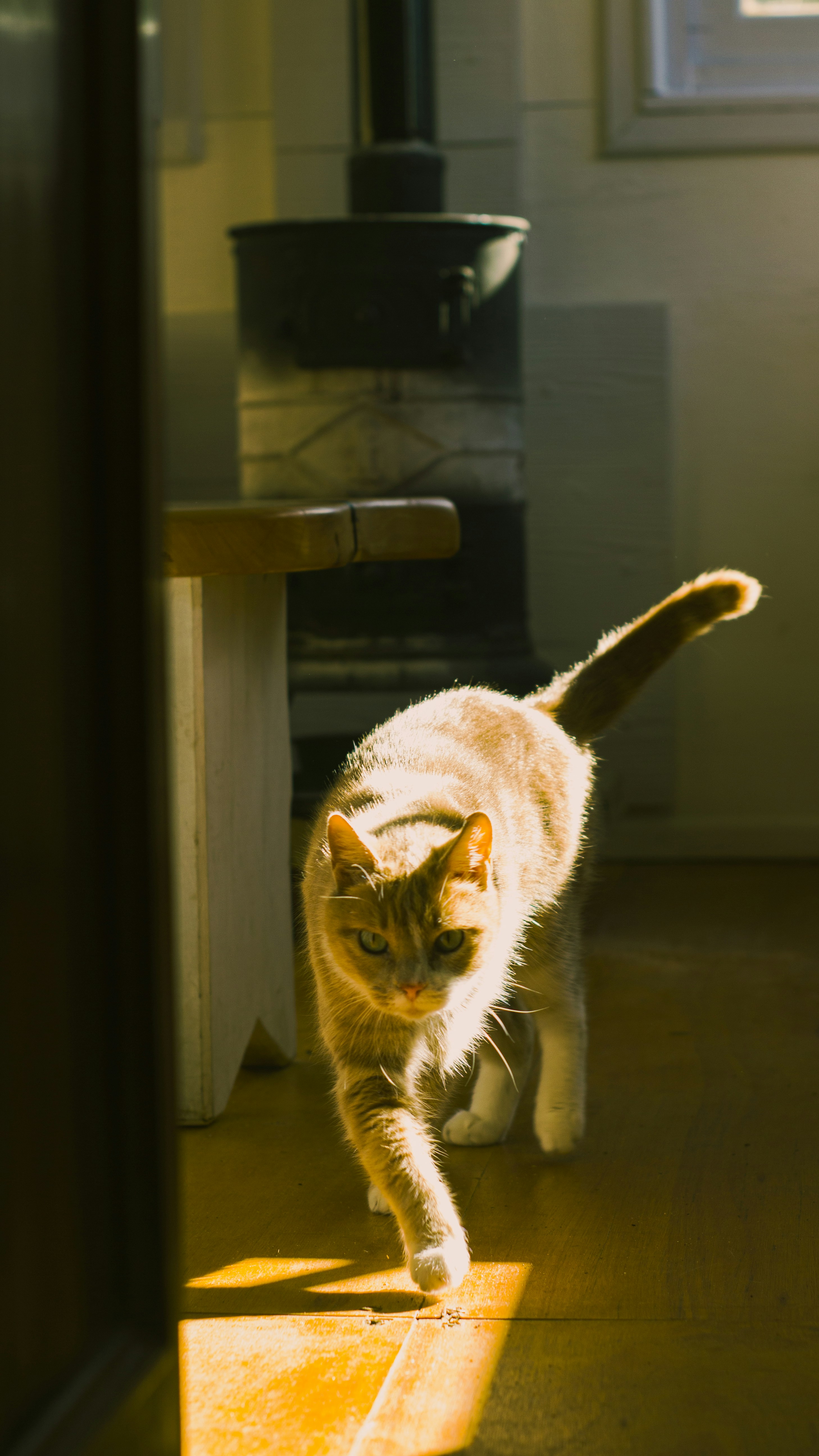 Photo by jtorresgarcia_uy