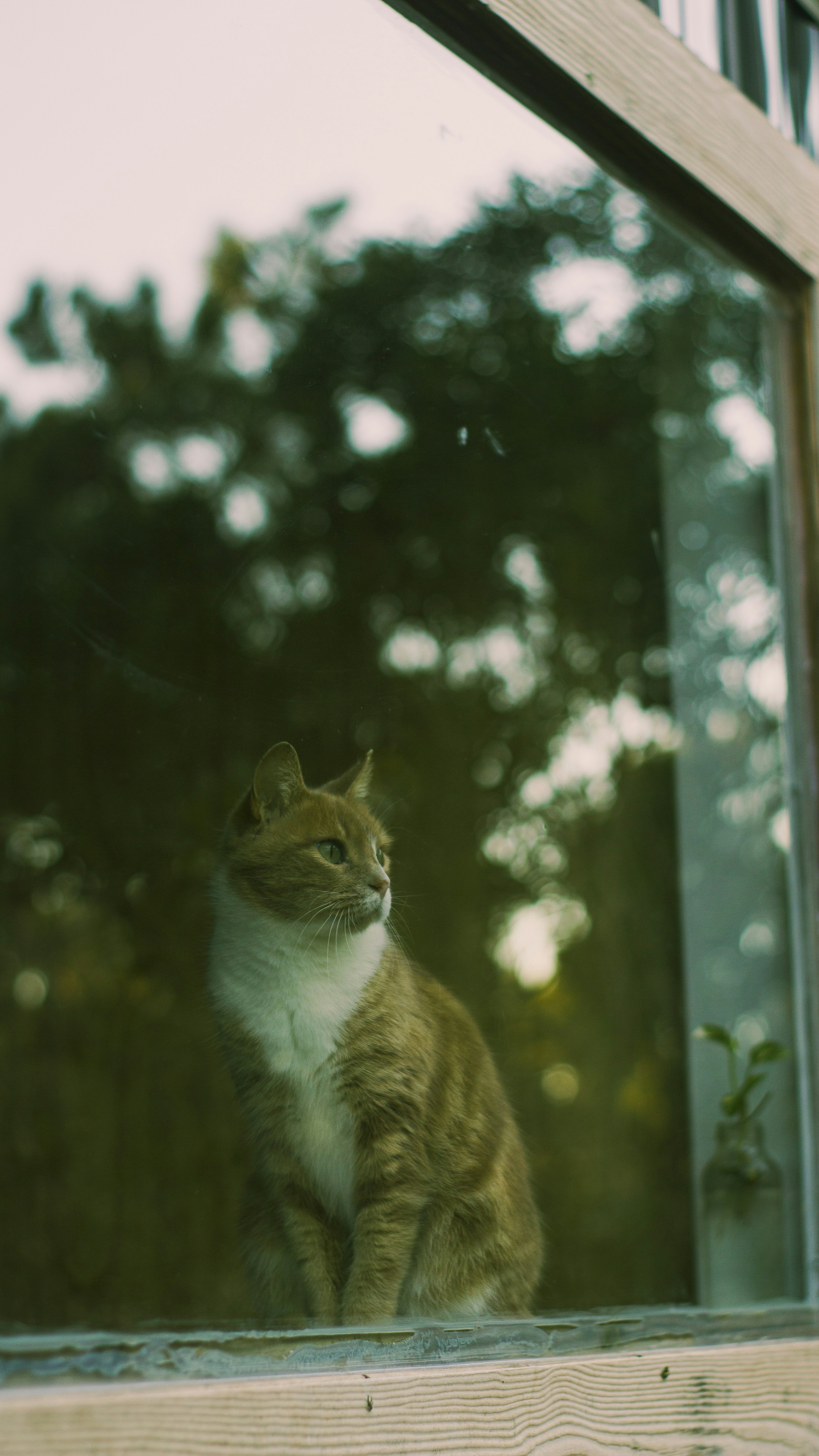 Photo by jtorresgarcia_uy