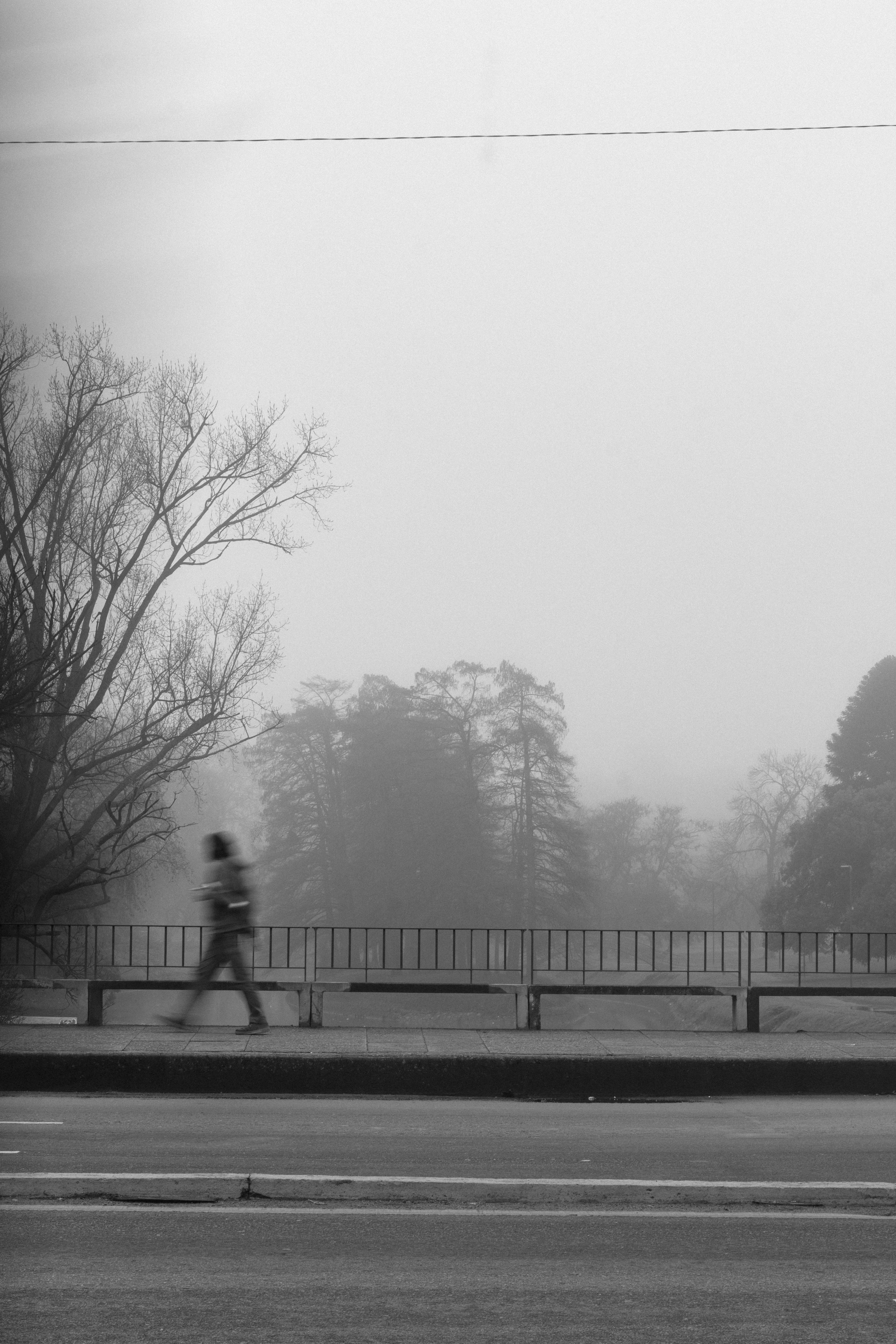 Photo by jtorresgarcia_uy