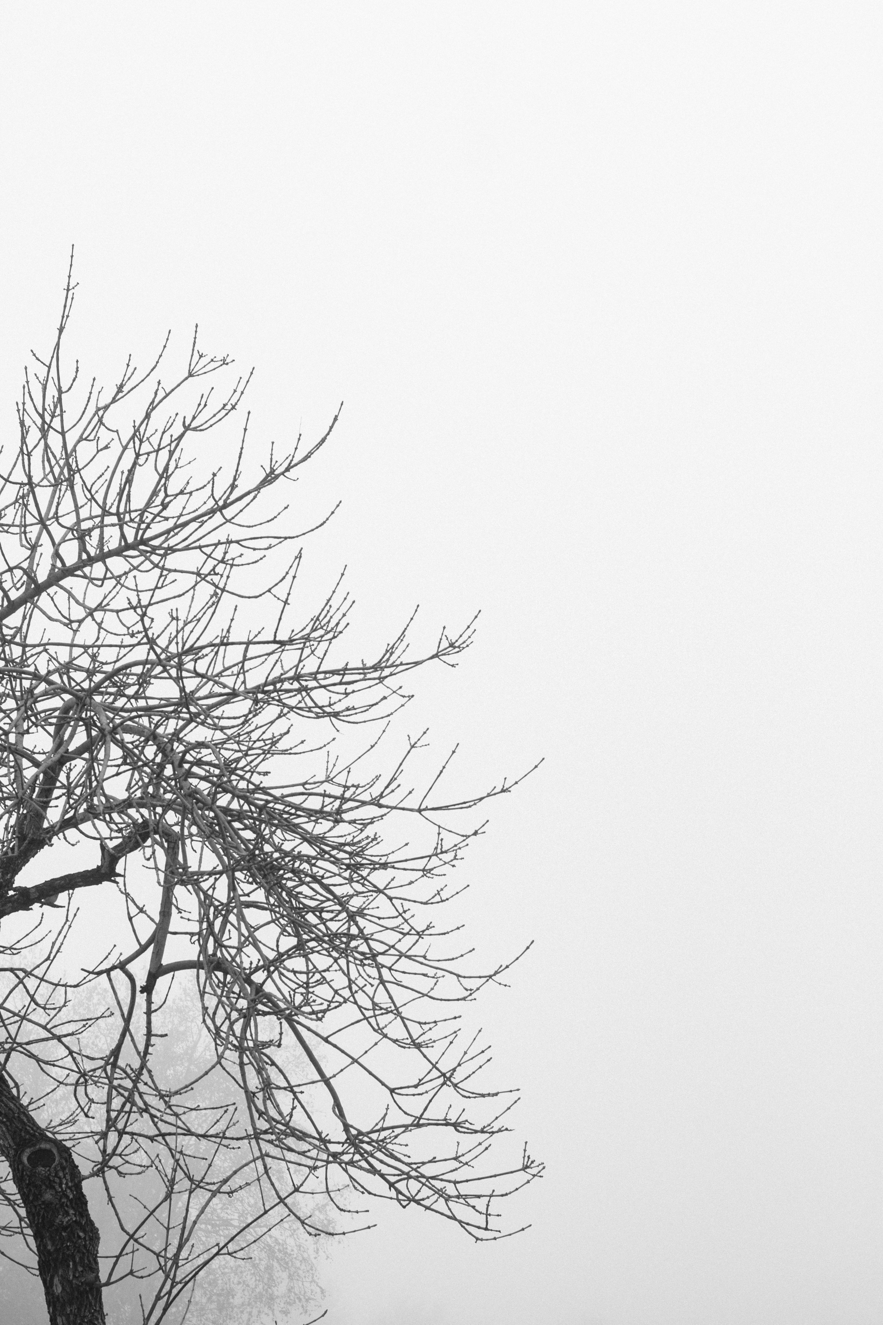 Photo by jtorresgarcia_uy