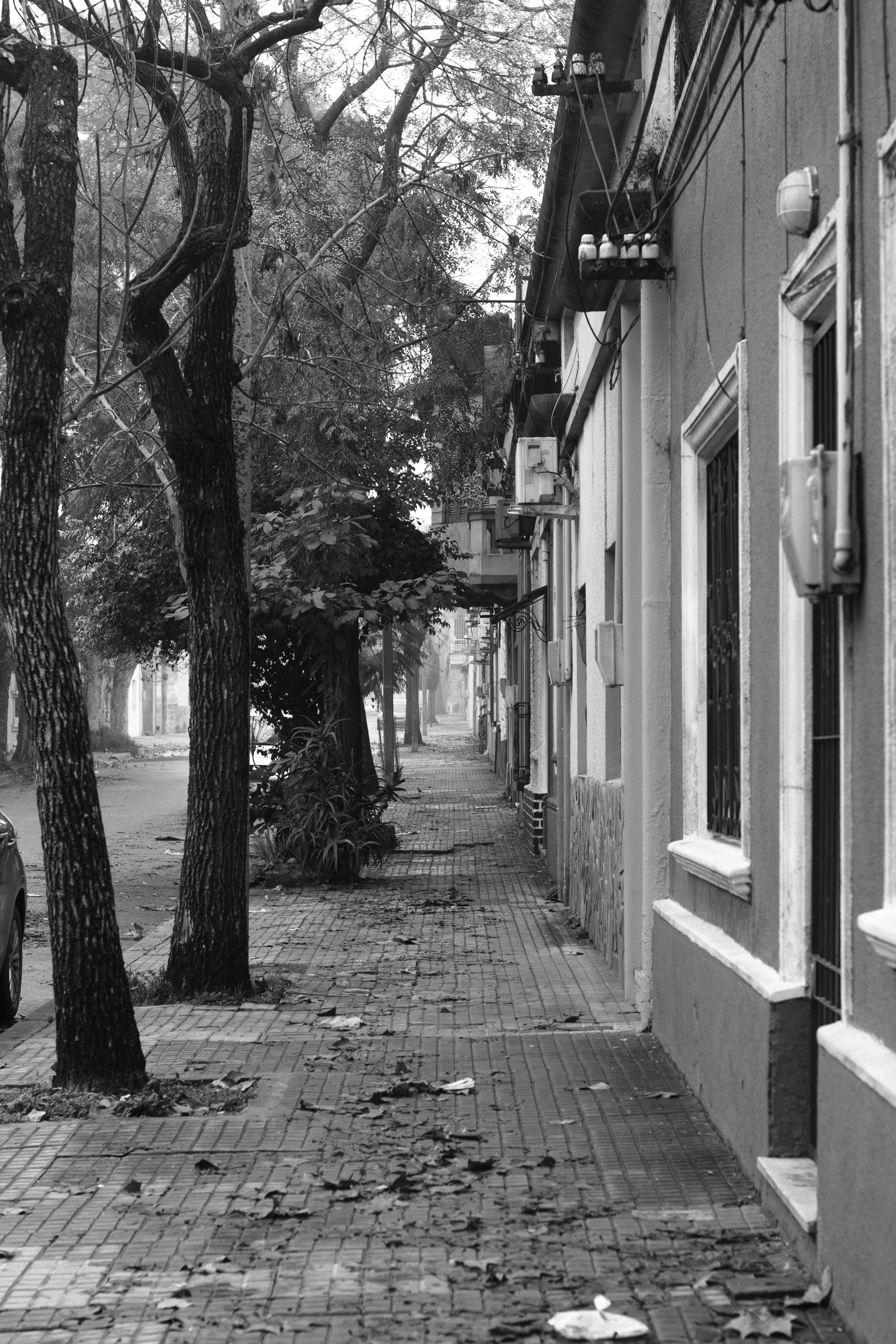 Photo by jtorresgarcia_uy