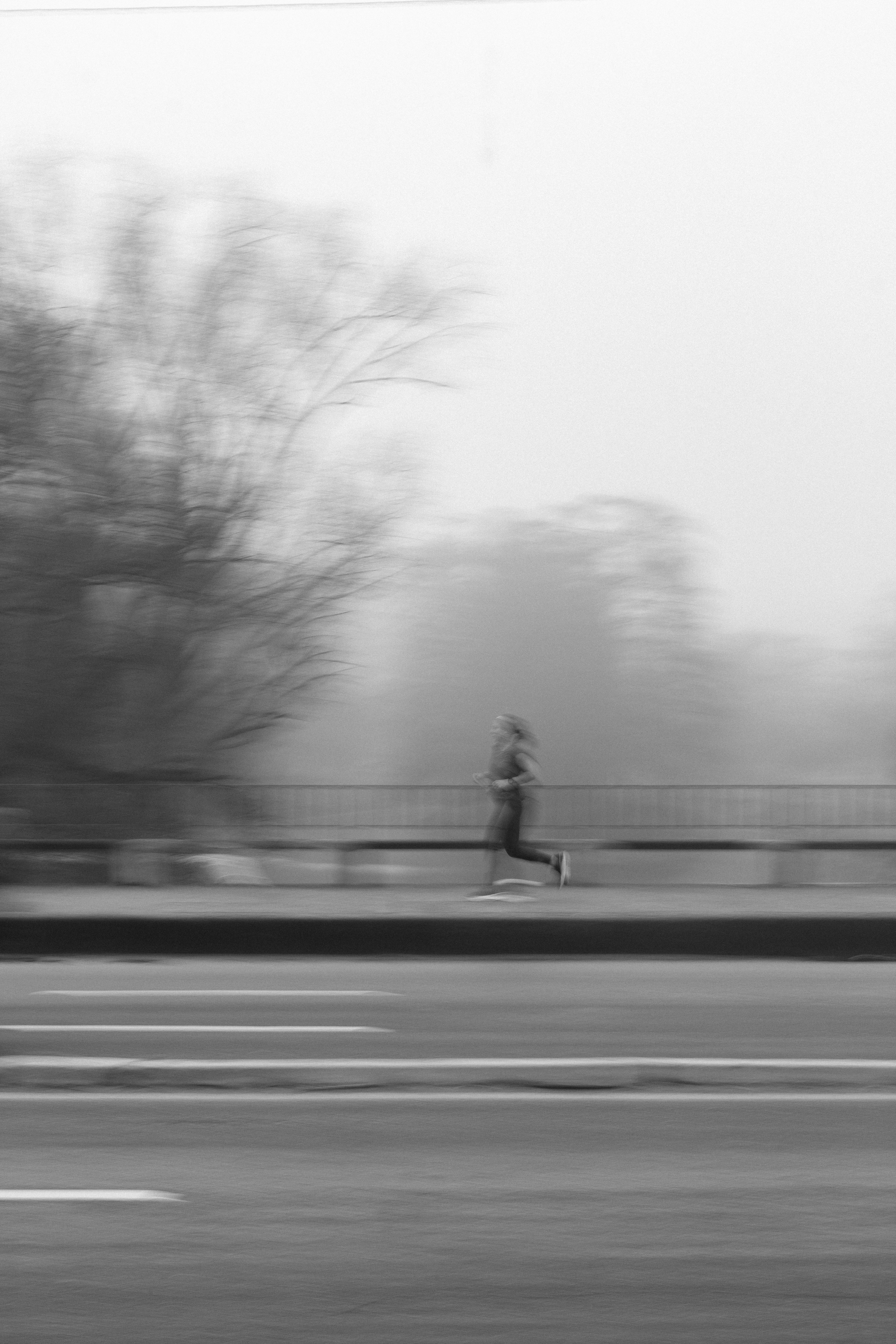 Photo by jtorresgarcia_uy