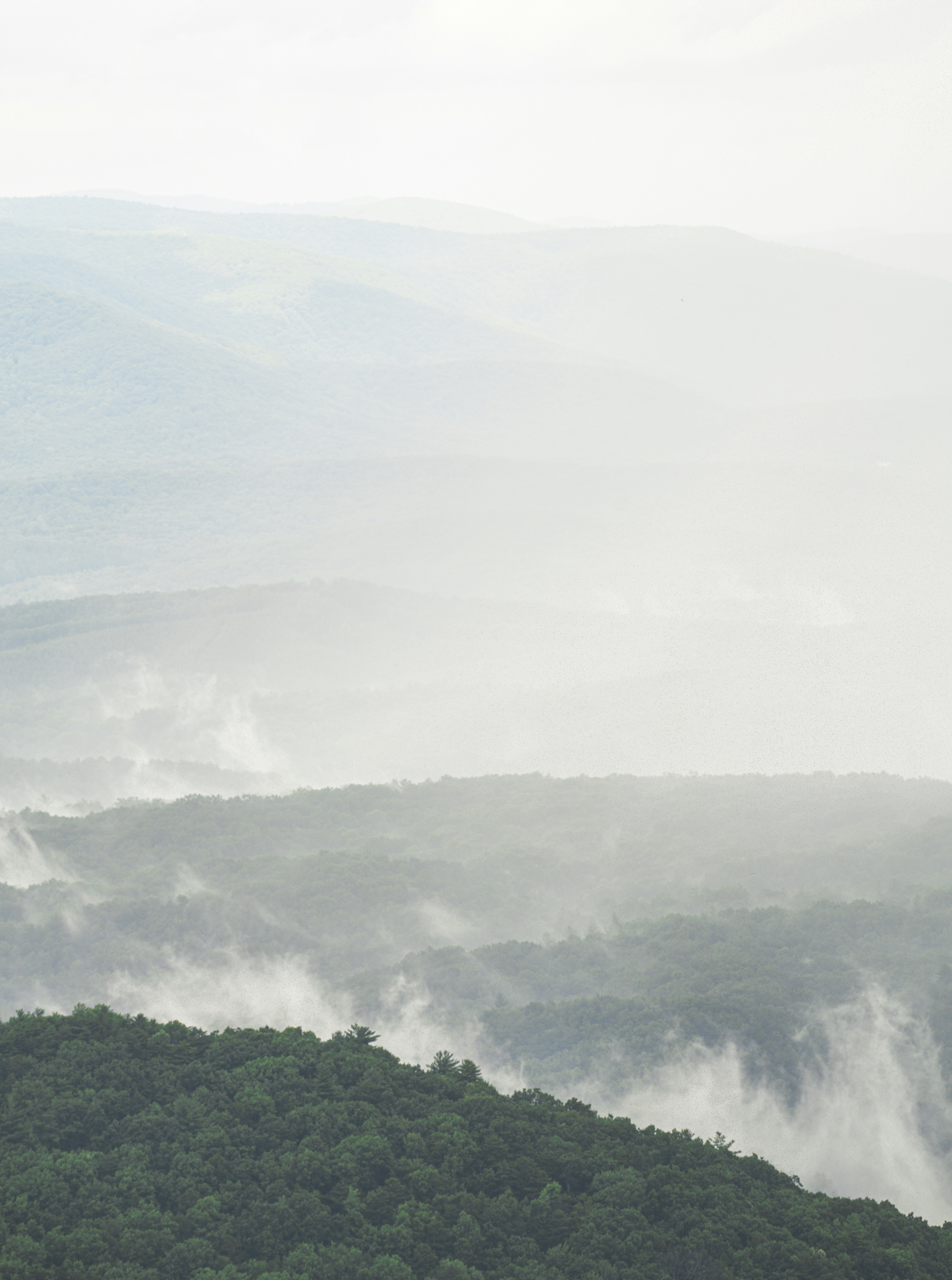 Photo by keepitchassephotography