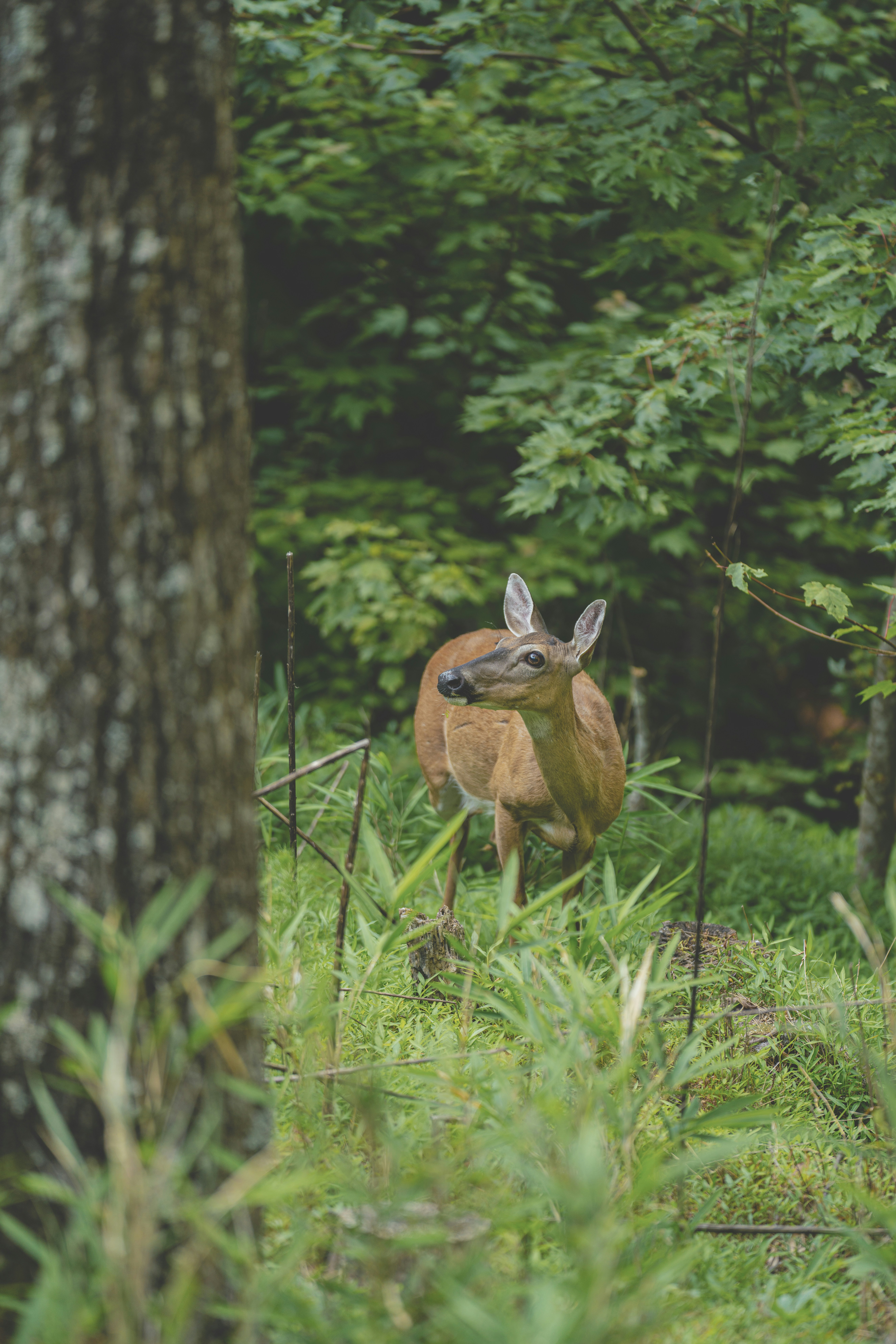 Photo by keepitchassephotography