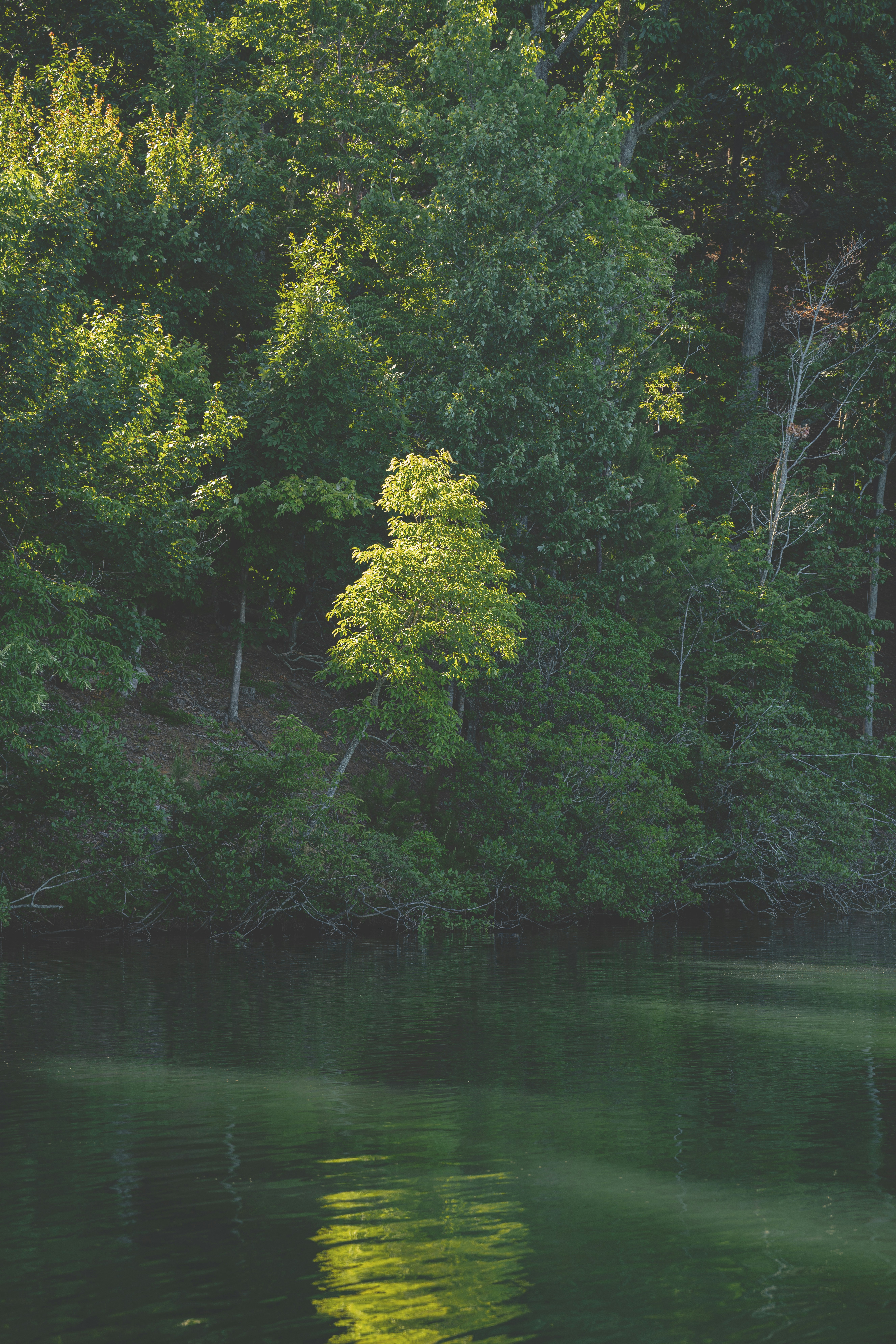 Photo by keepitchassephotography