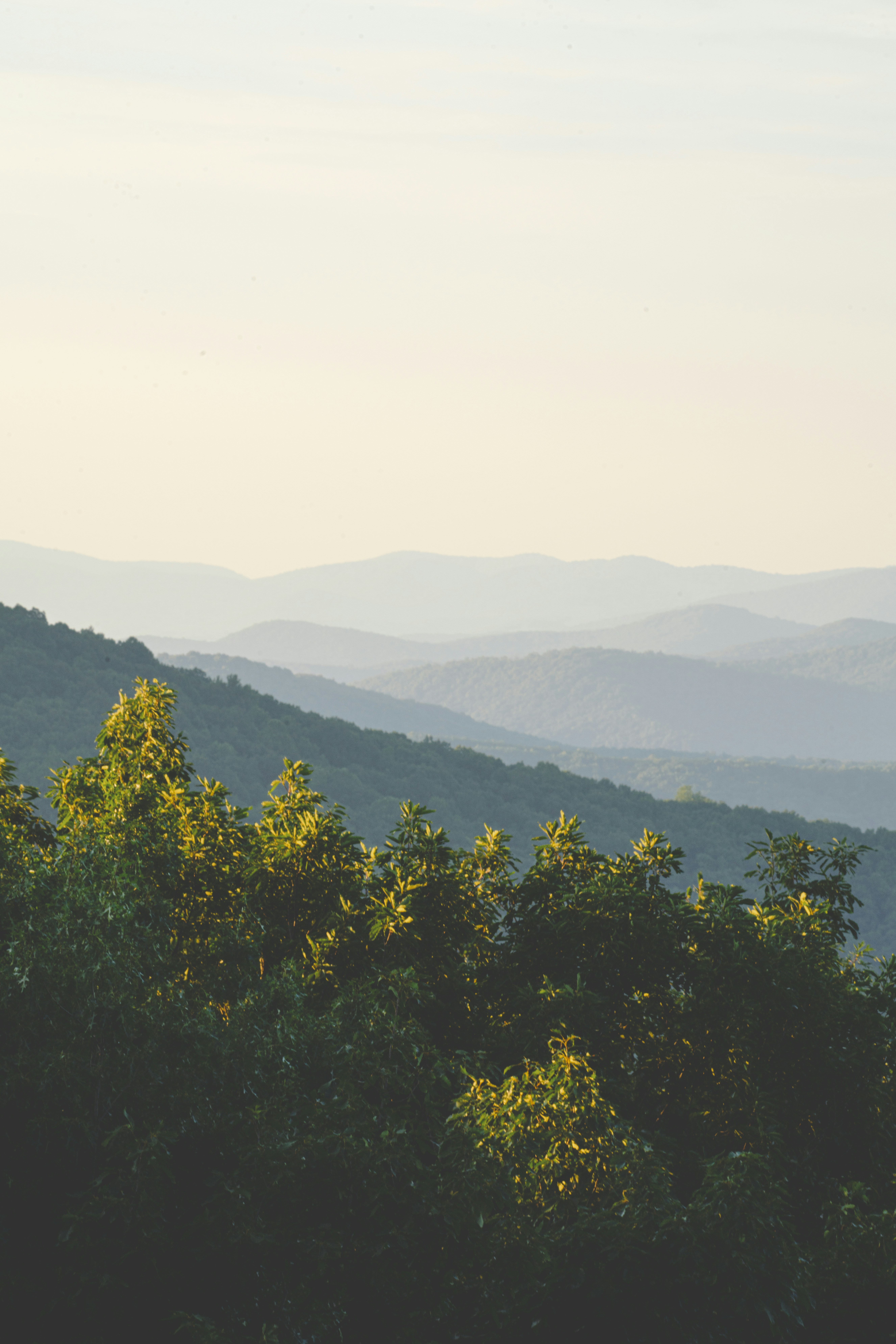 Photo by keepitchassephotography