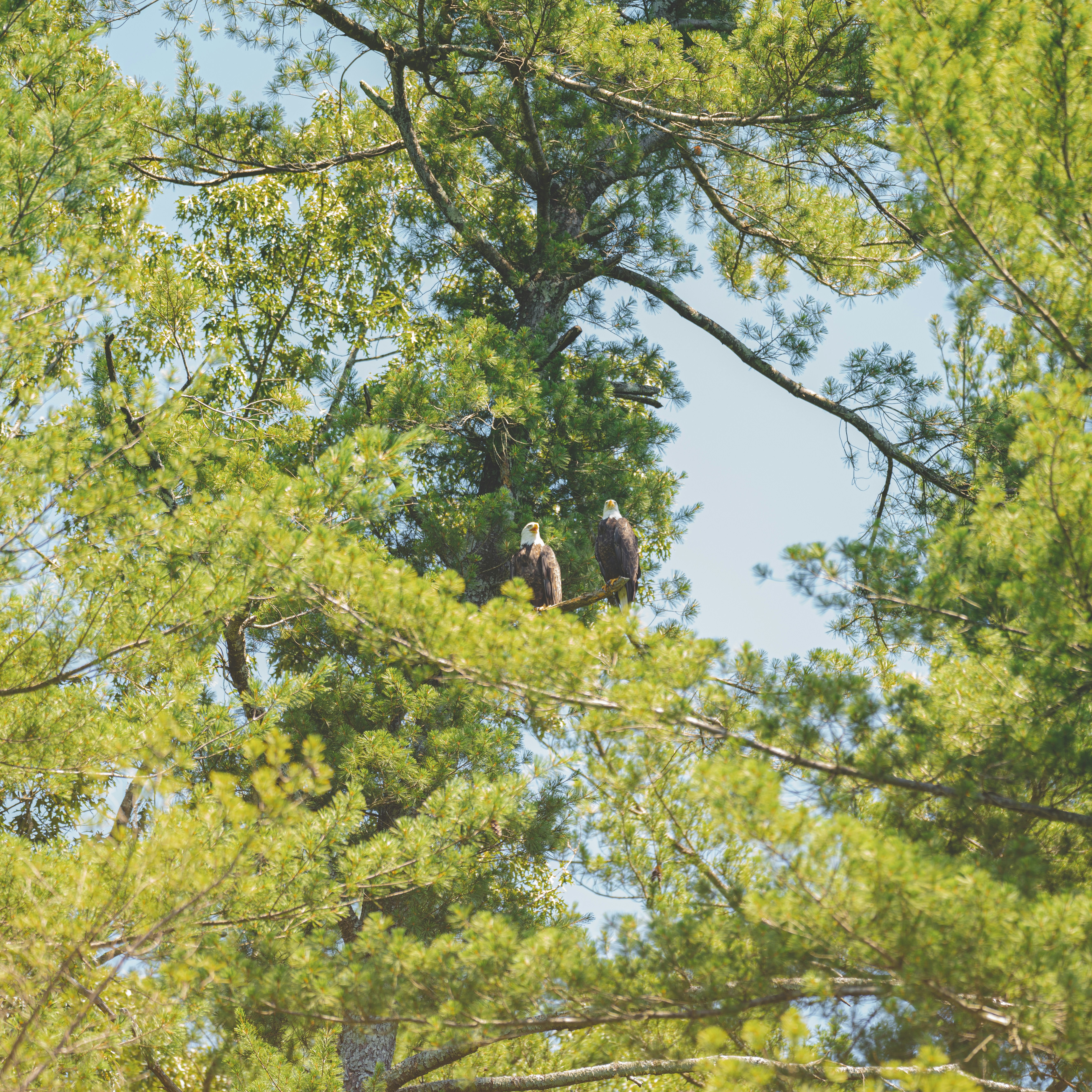 Photo by keepitchassephotography