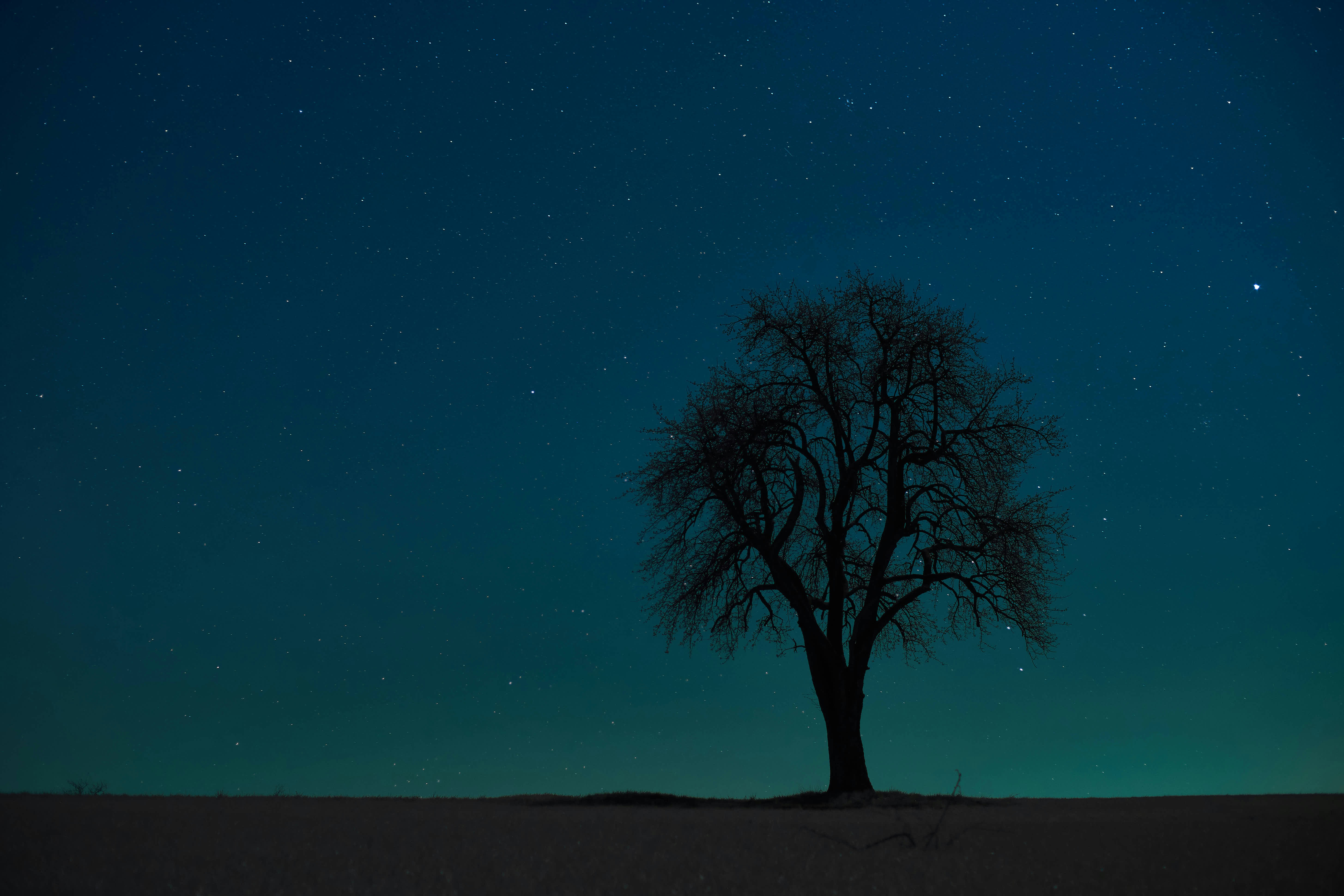 센스있는 조이름 팀명 추천 상황별 정리