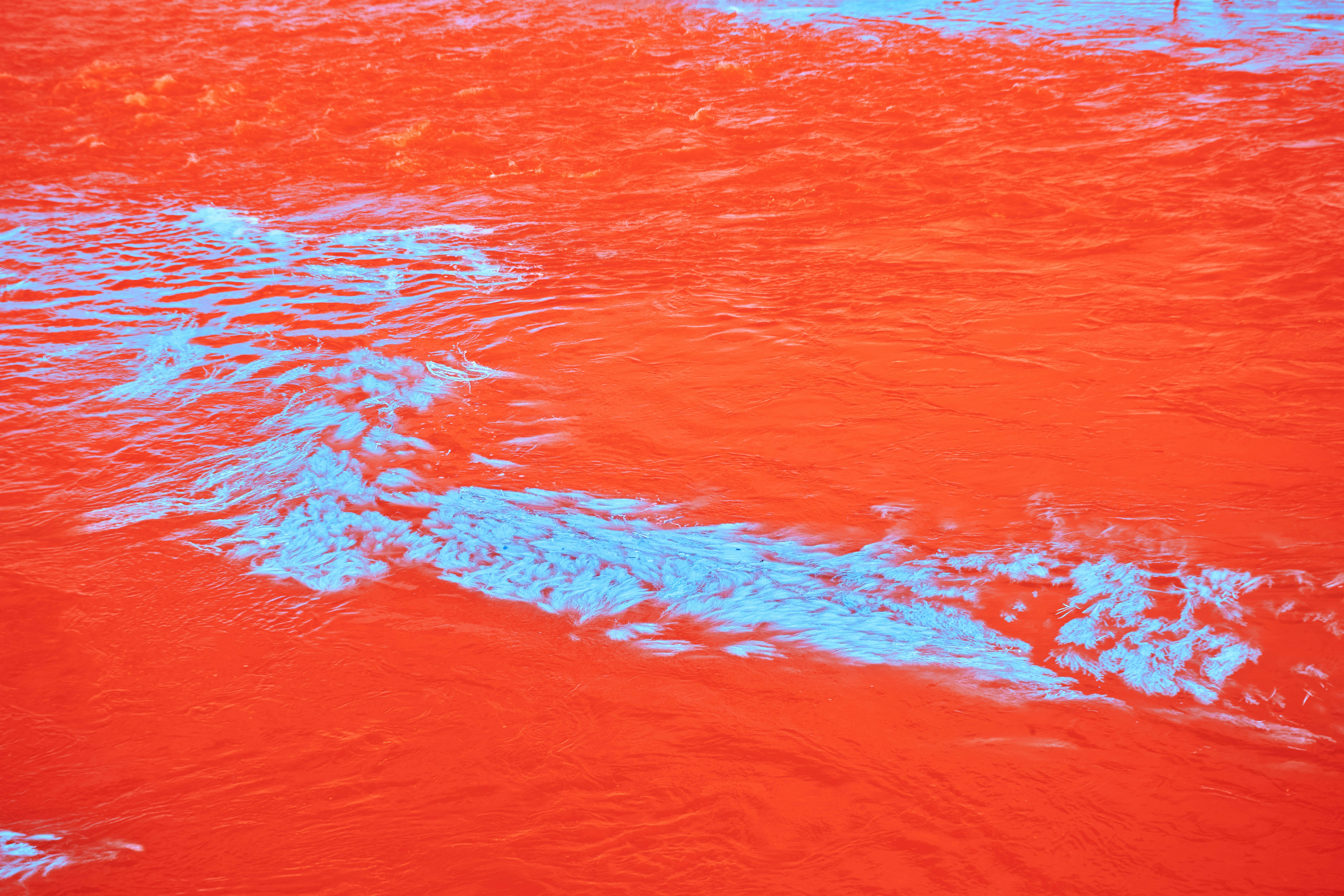 Photo by wolfgang_hasselmann