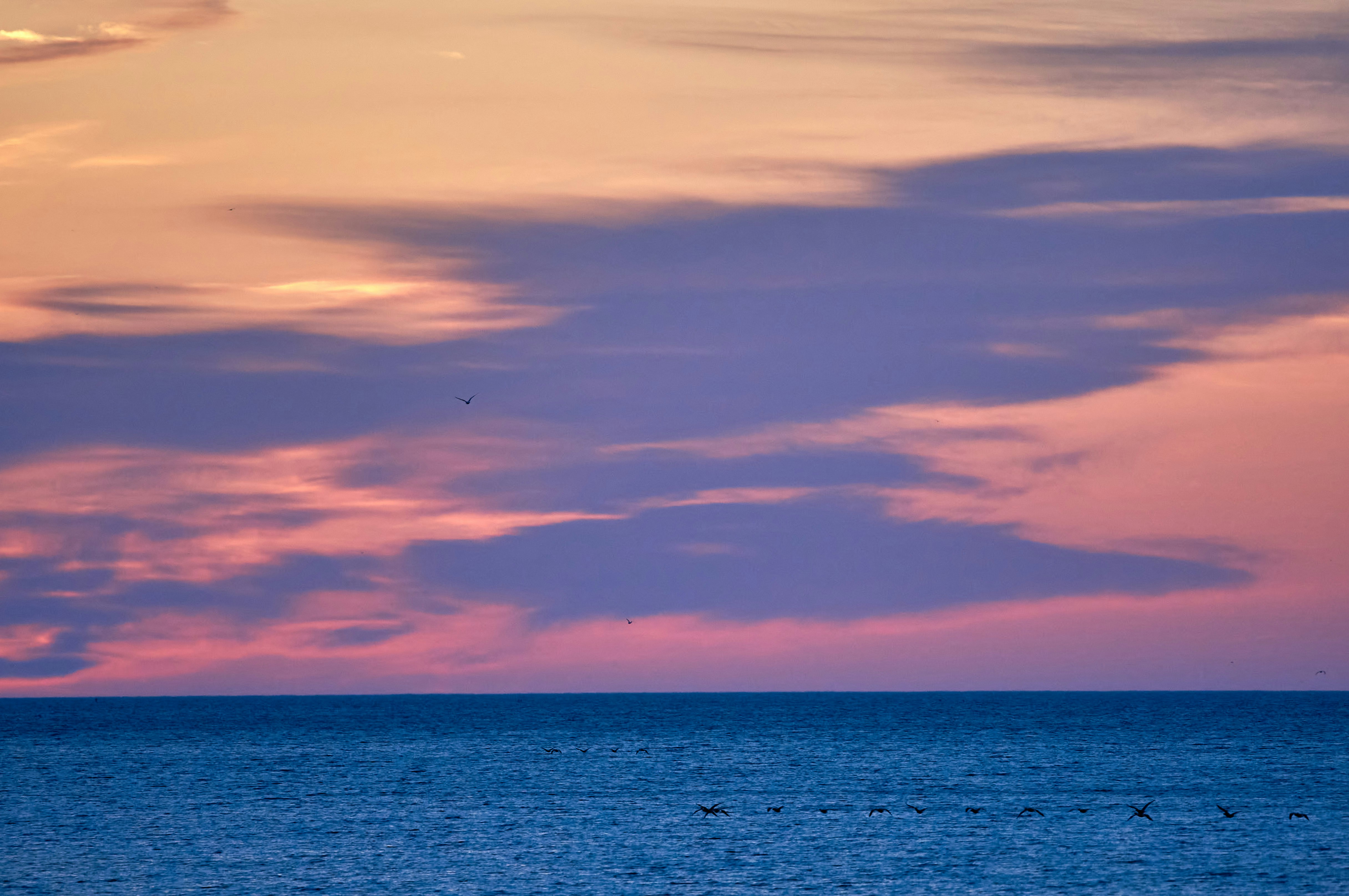 Photo by wolfgang_hasselmann