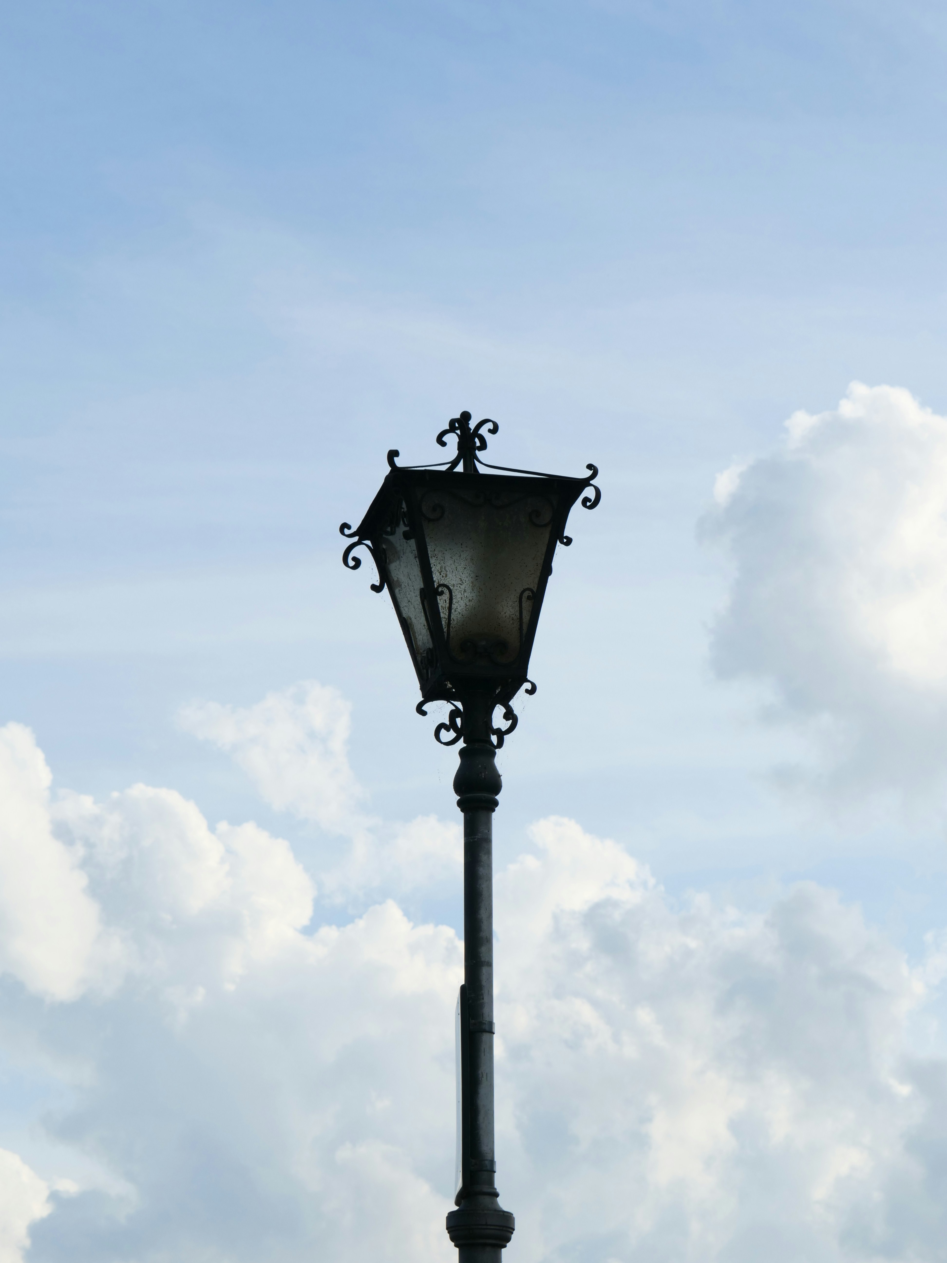 Photo by nimbus_vulpis