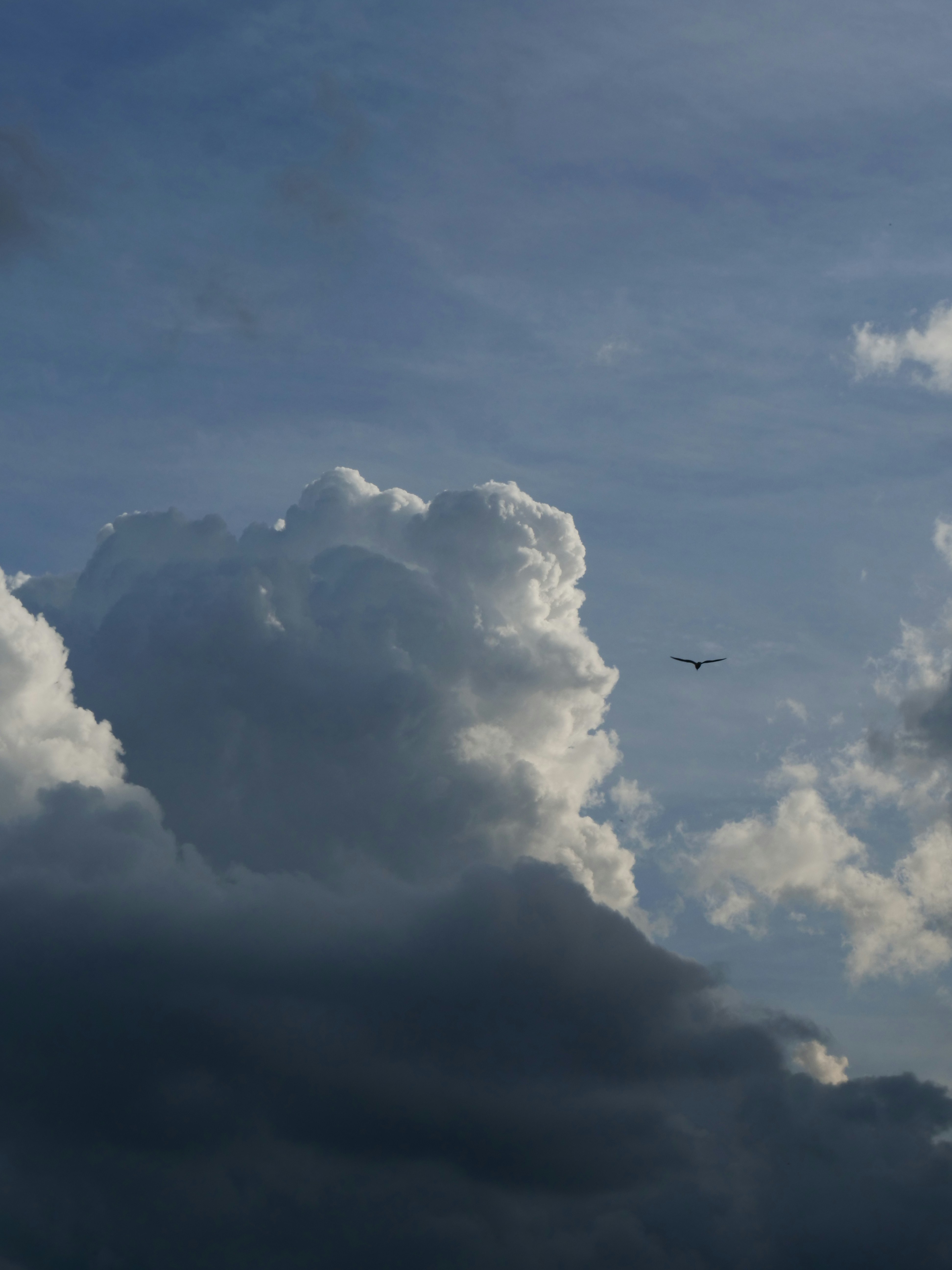 Photo by nimbus_vulpis