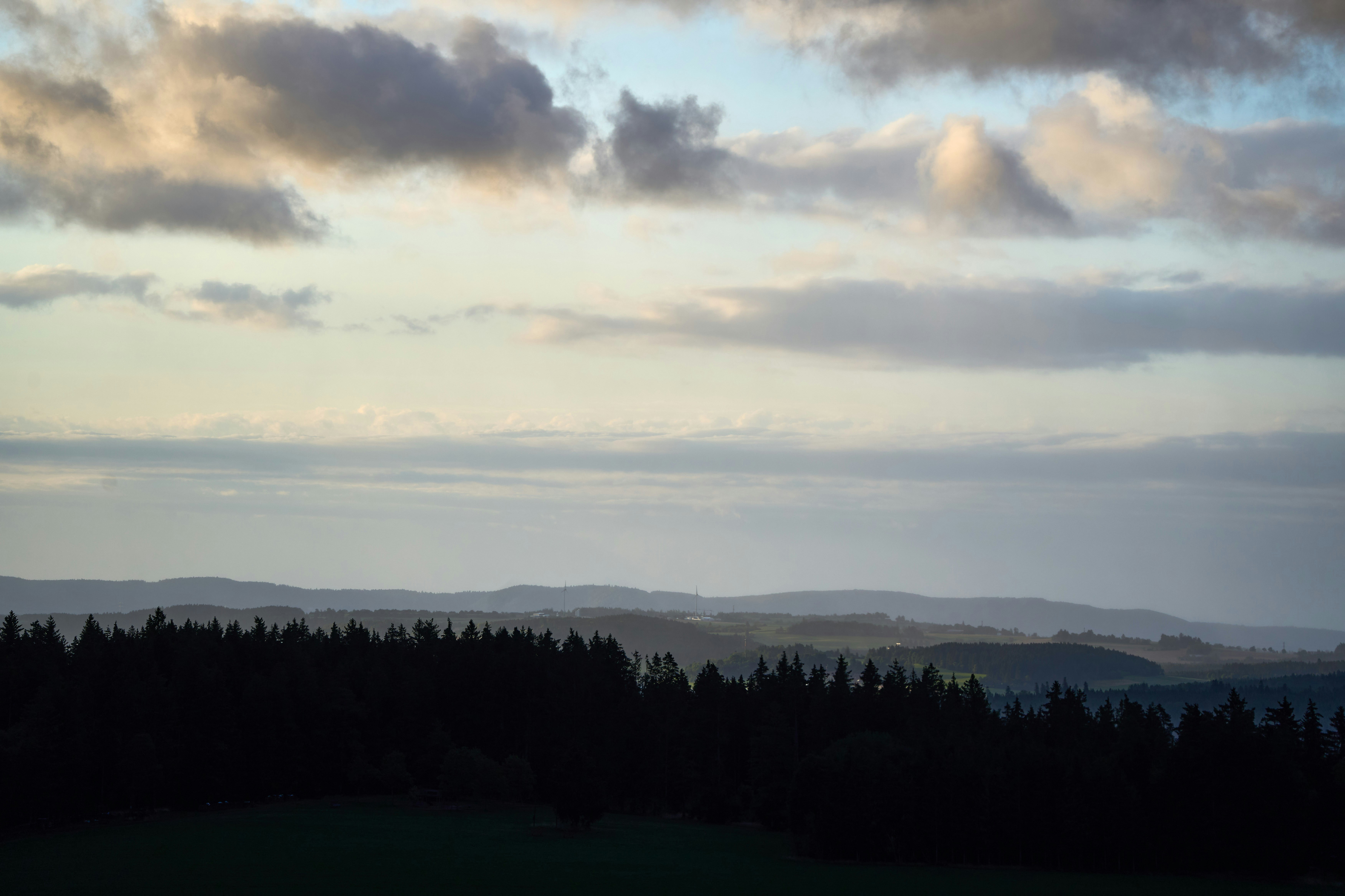 Photo by wolfgang_hasselmann