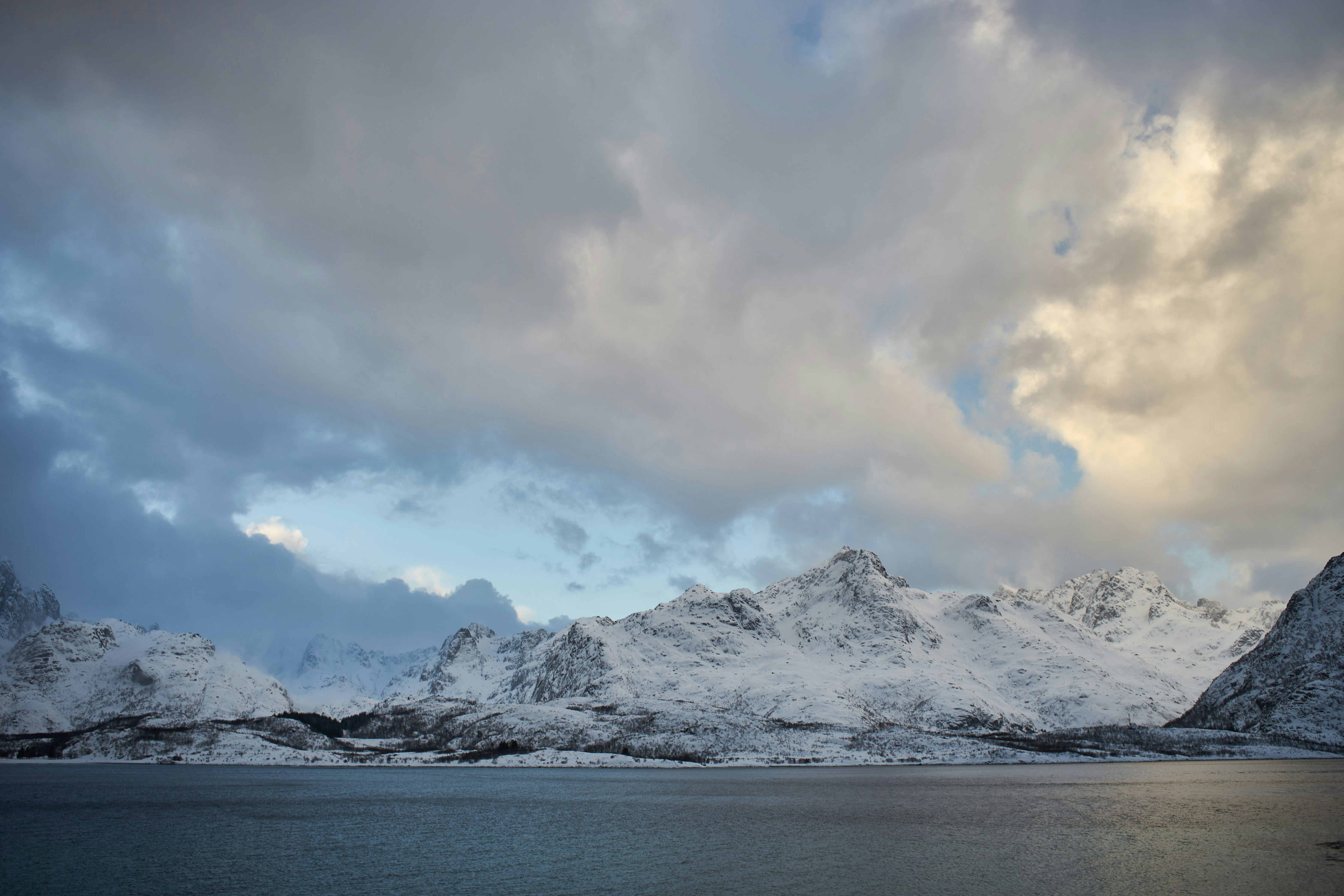 Photo by wolfgang_hasselmann