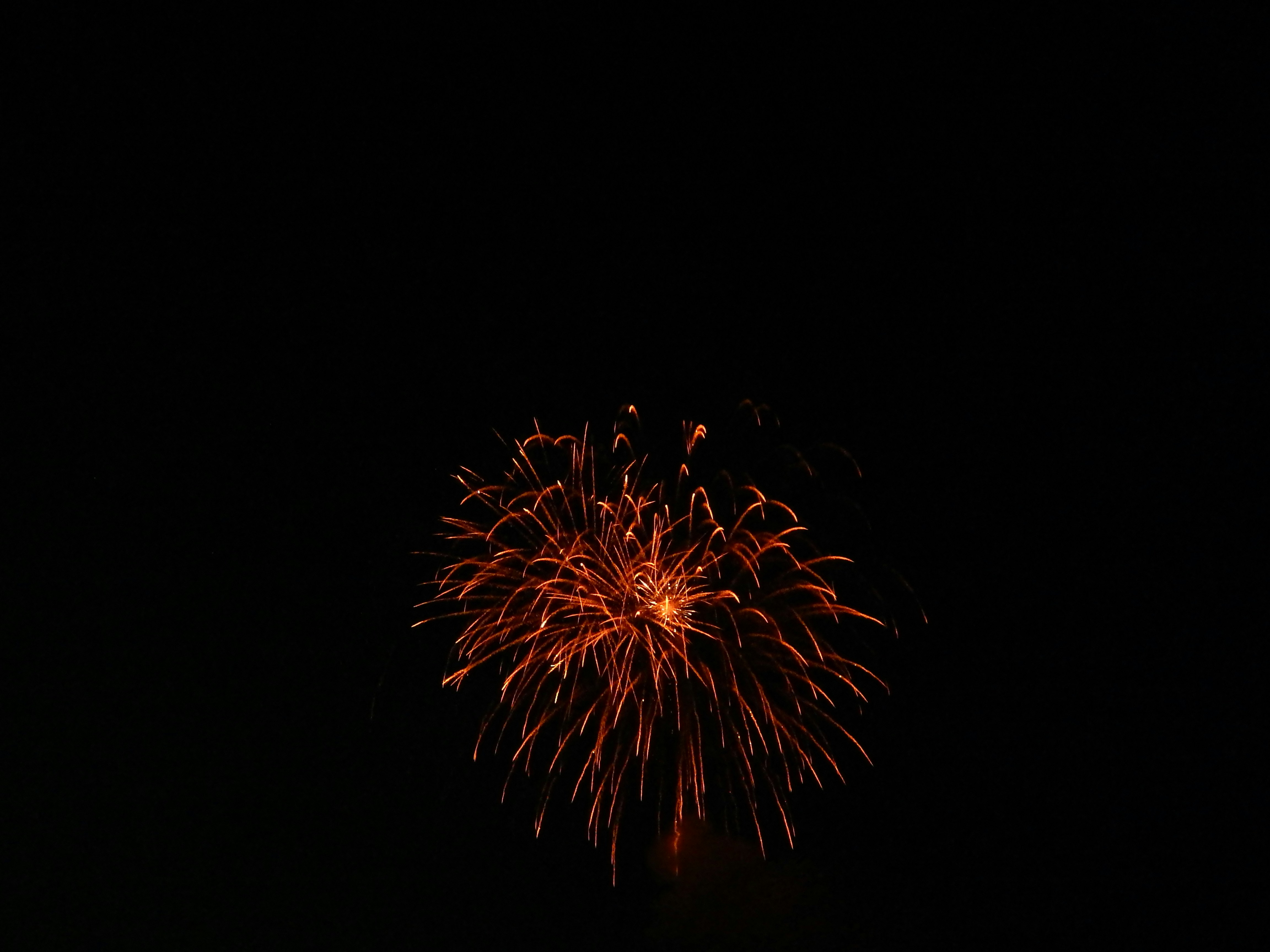 Photo by scarlettweiss