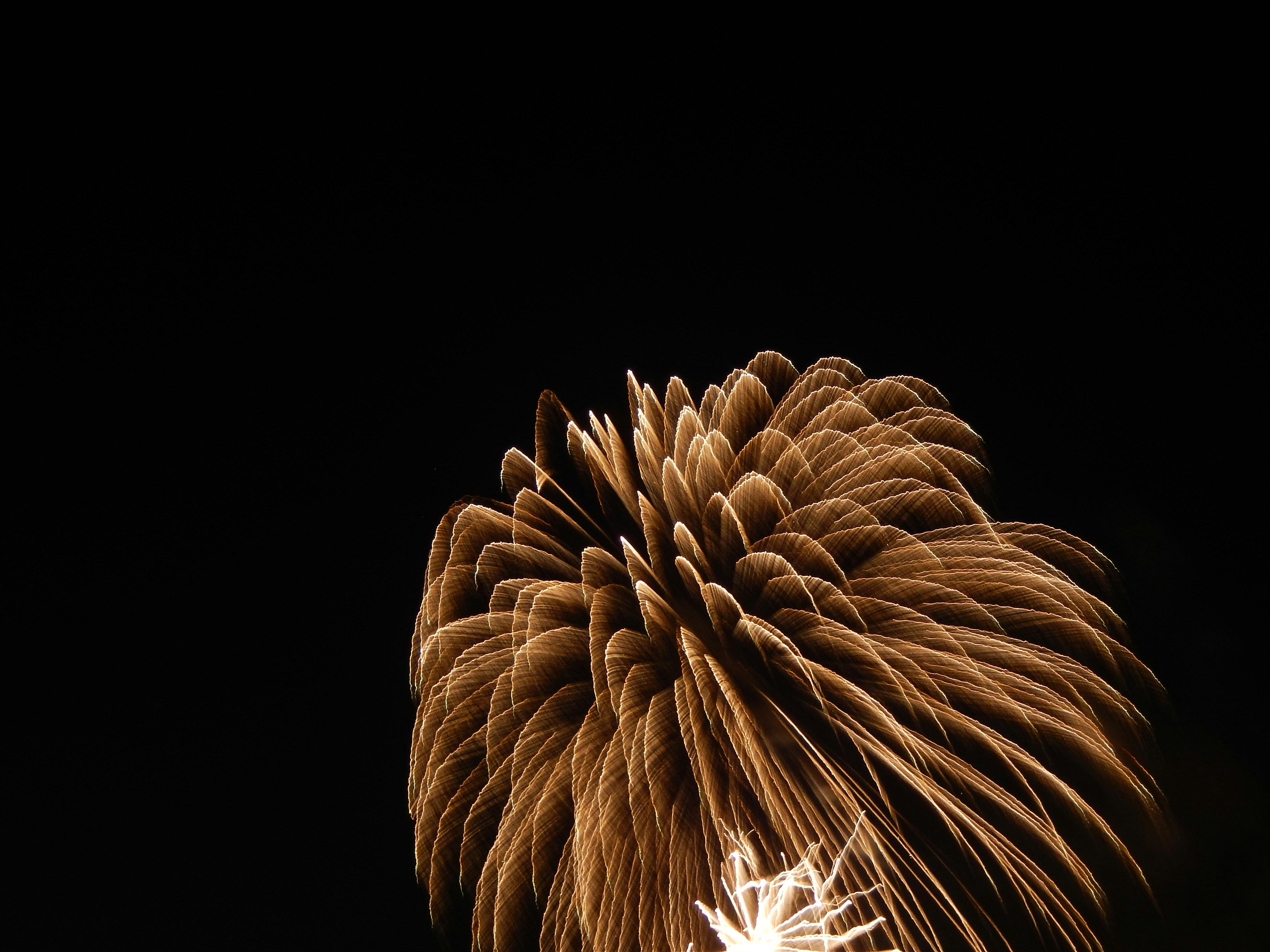 A fireworks display in the night sky
