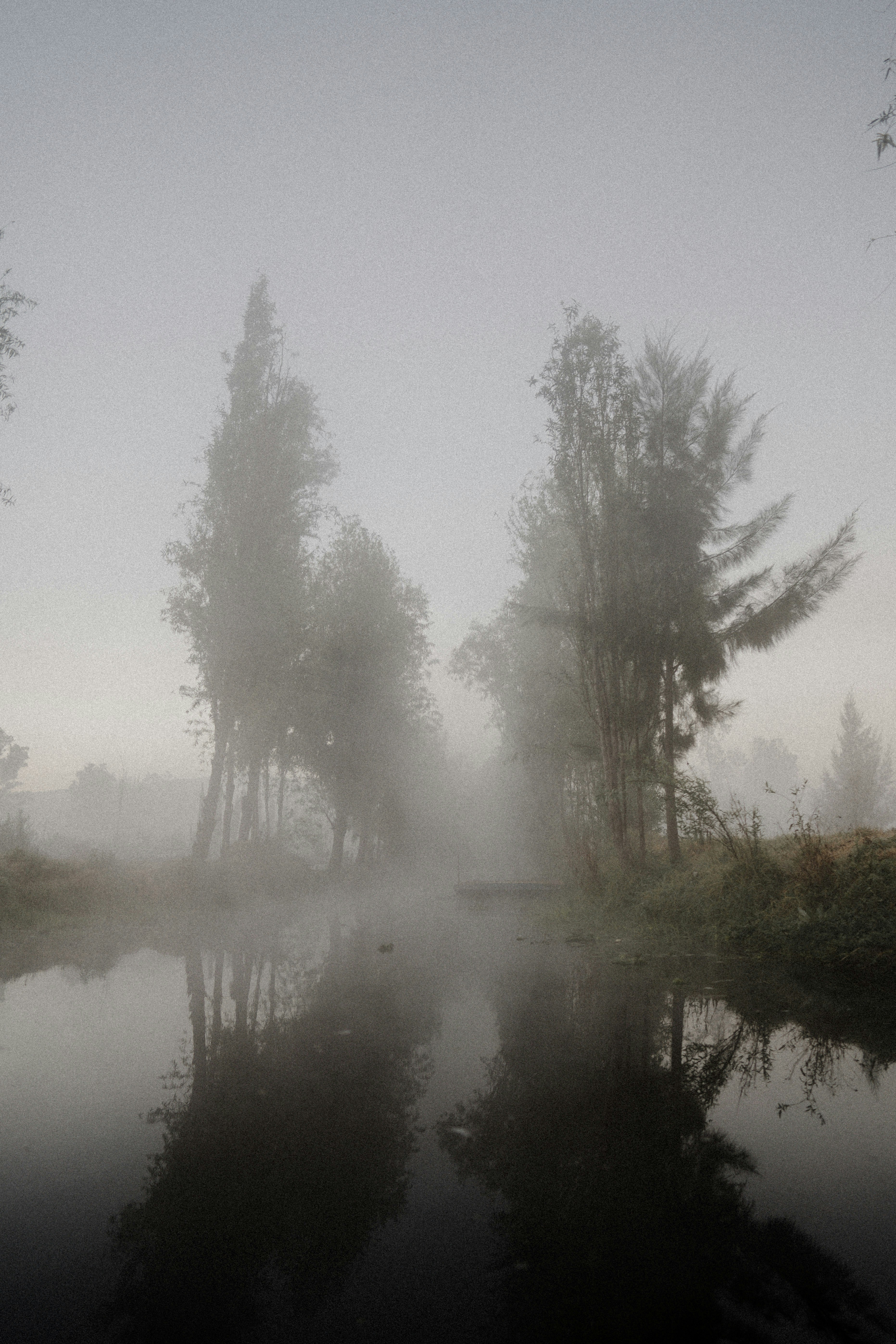 Soft morning light over misty peaceful landscape, serene nature with gentle fog, spiritual and contemplative atmosphere, muted blues and greens