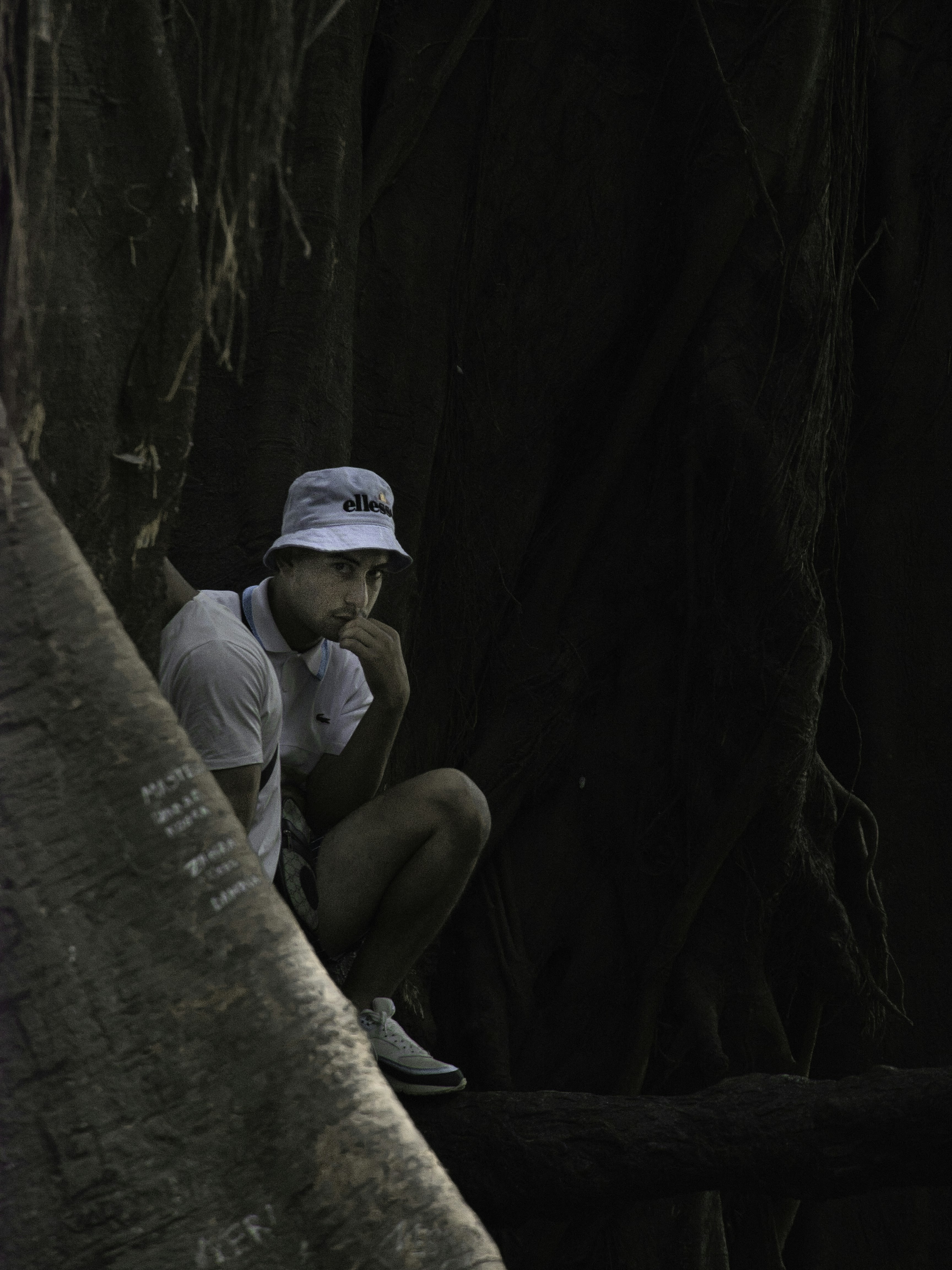 A man sitting on a tree branch in a forest