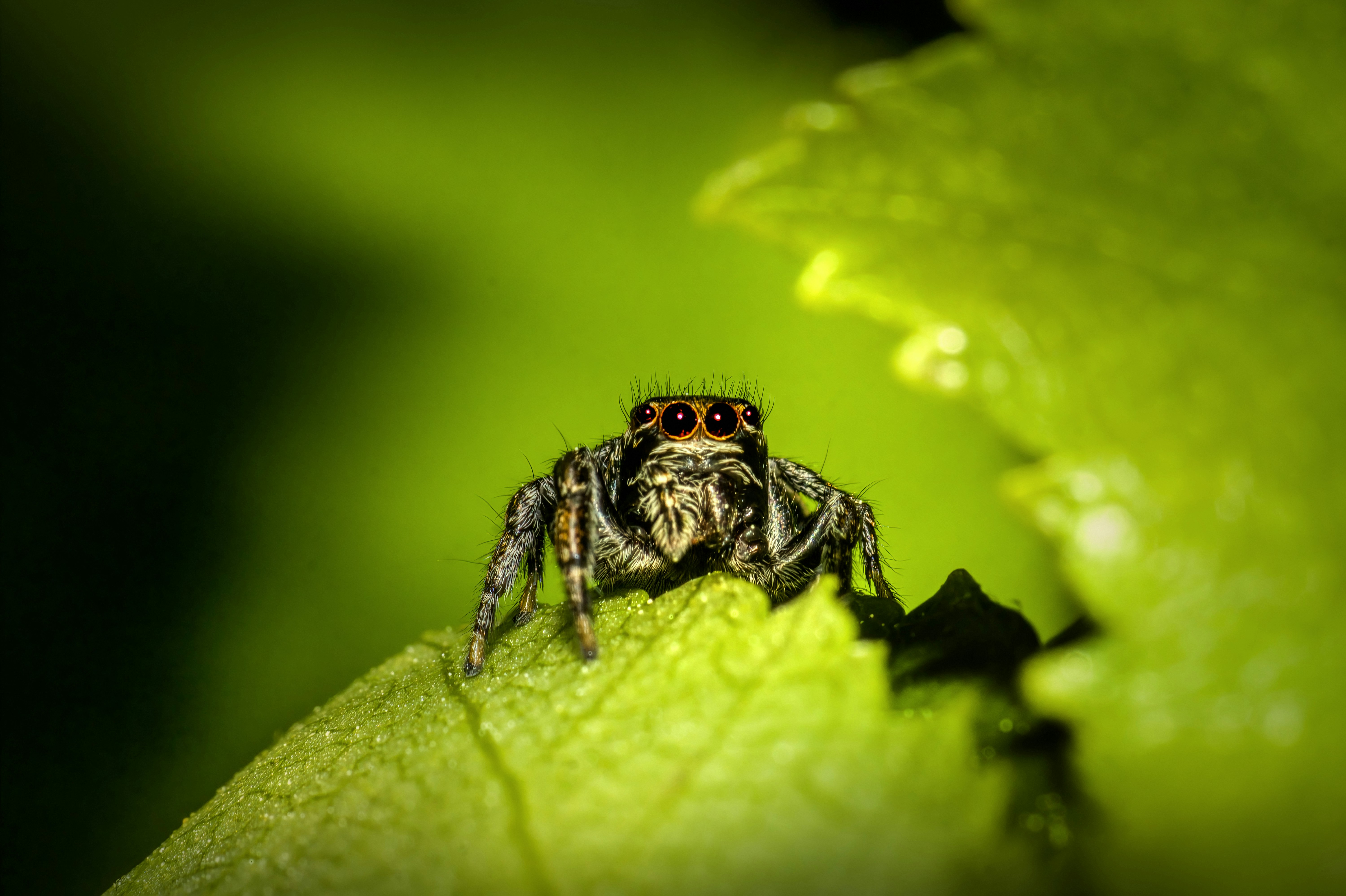 Photo by erik_karits