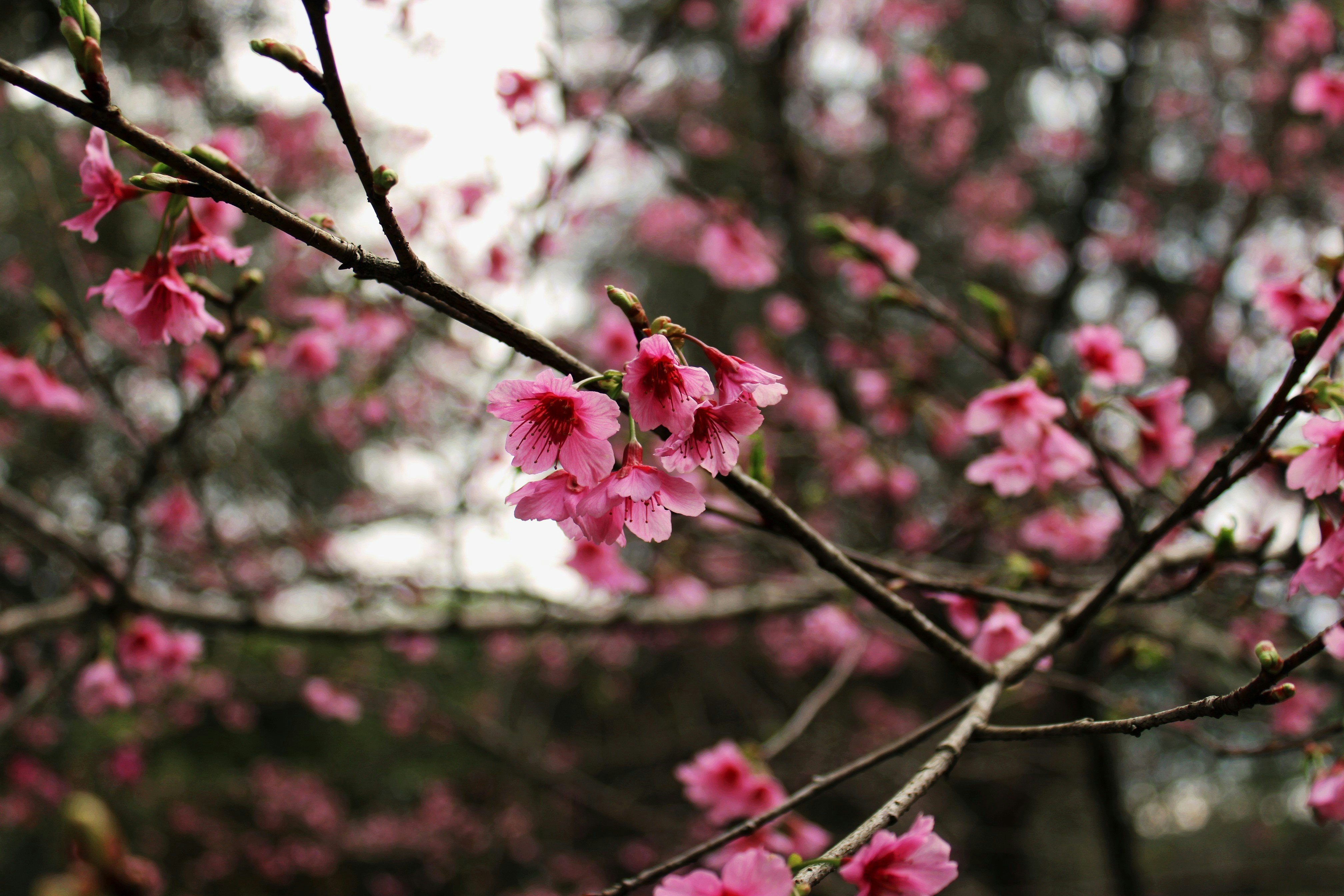 Photo by bellarussomanno