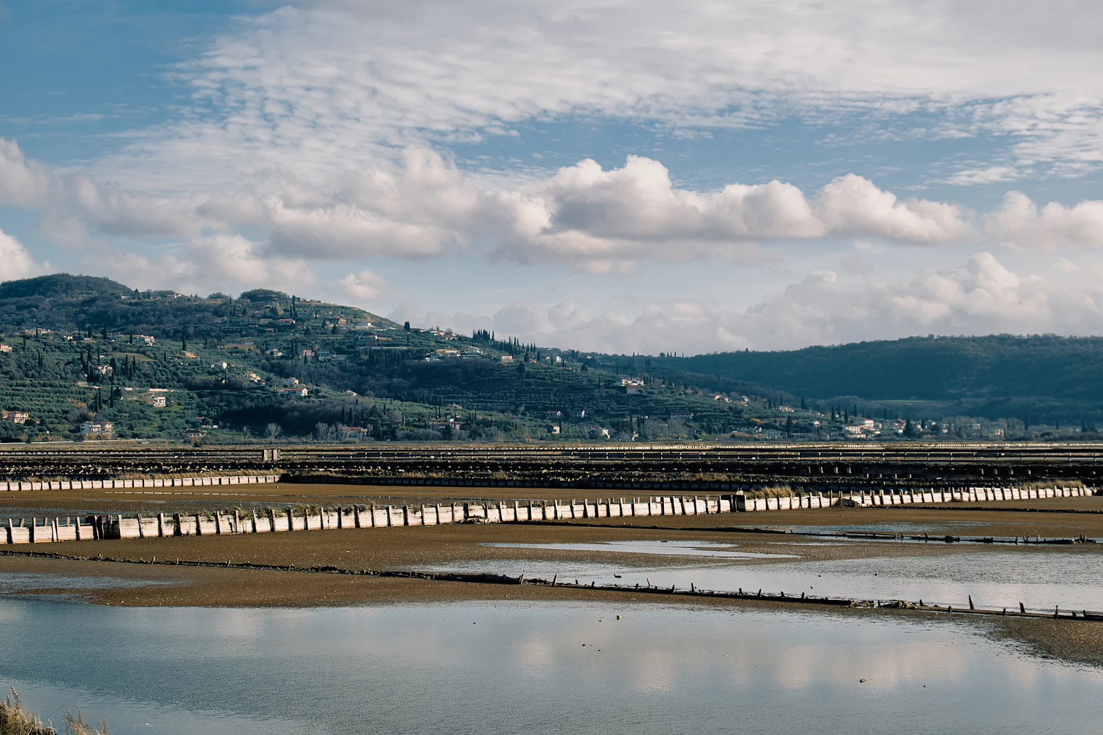 Sečovlje salt pans near Portorož
