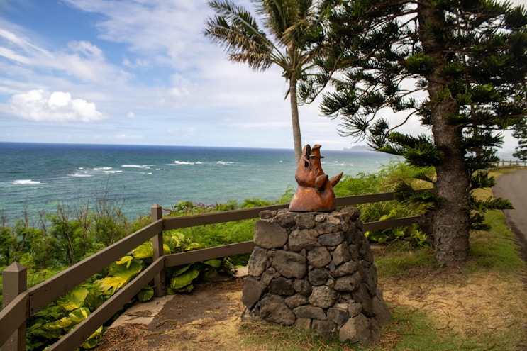A bear sitting on top of a rock near the ocean